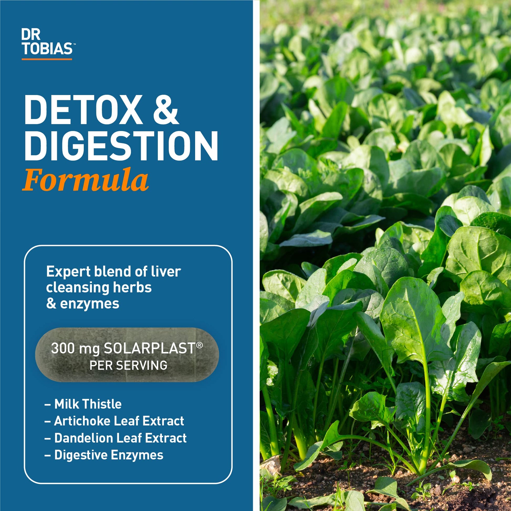 Dr. Tobias Liver 21 Day Cleanse, Herbal Liver Detox Cleanse with Solarplast, Artichoke Extra Dr. Tobias Au supplements