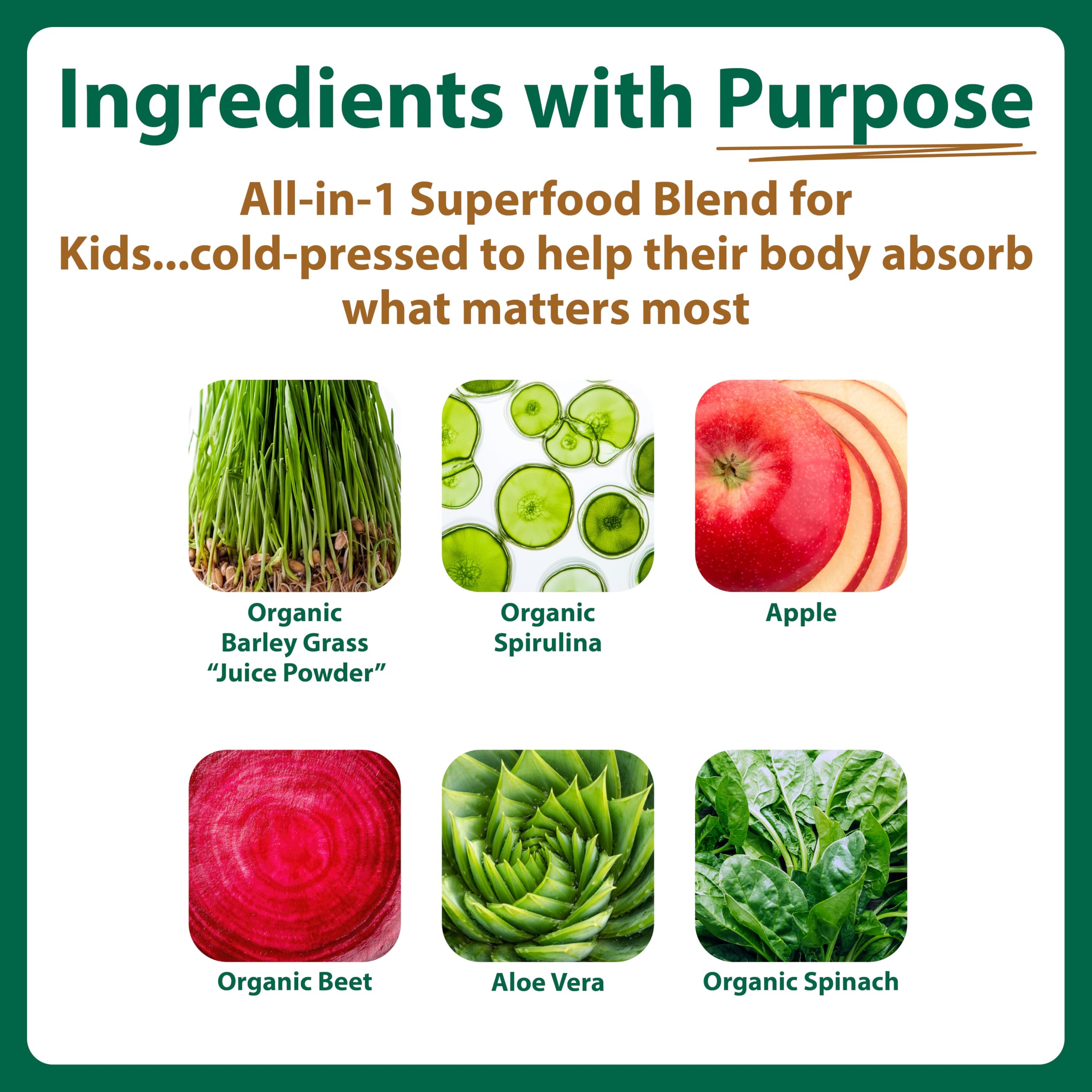 MacroLife Naturals MacroCoco Super Greens Drink, Chocolate Powder Superfood for Kids & Teens - Whole Food Fruit & Vegetable Multi-Vitamins Probiotics Digestive Enzymes & Fiber Supplement - 32 Servings MacroLife Naturals Au supplements