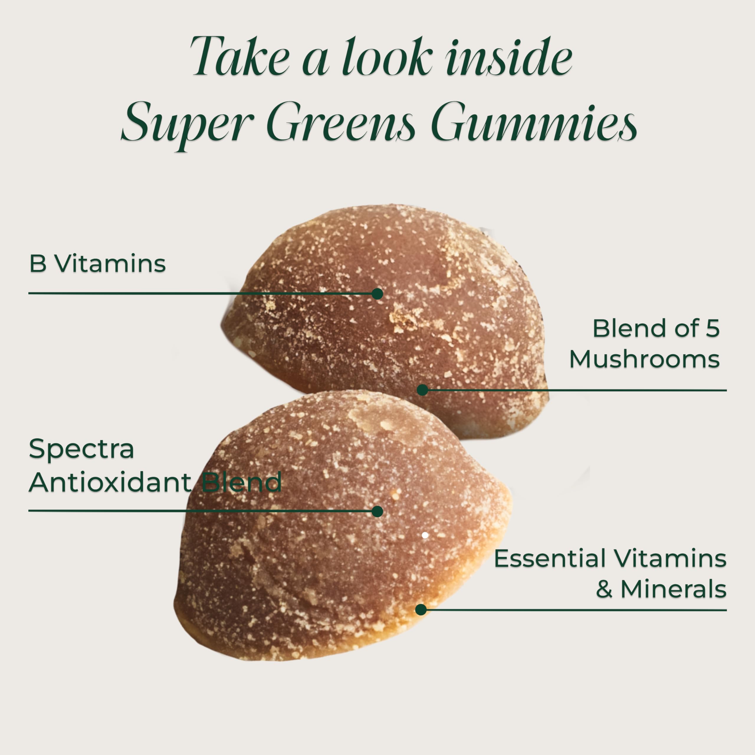 Primal Harvest Super Greens Gummies, Superfood Blend with Adaptogenic Mushrooms Vitamins & Nutrient-Rich Minerals & Antioxidants for Energy & Immune Support 1 Pack 60 Count, Primal Harvest Au supplements