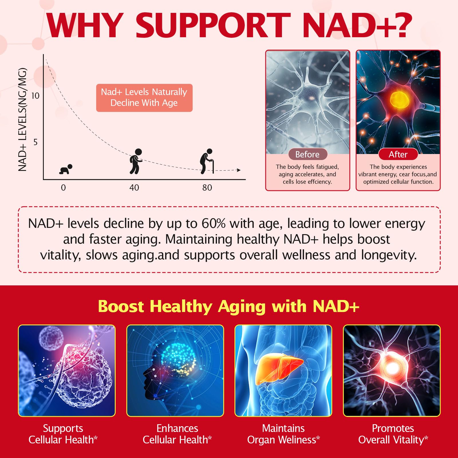 bnHUlMXw NAD Liquid Supplement,1000mg Premium Nicotinamide Riboside & Resveratrol,NAD+ Berry Flavor Drink Mix for Skin Aging Support,Boosts Cellular Energy – NAD Supplements for Men & Women,30 Packs bnHUlMXw Au supplements