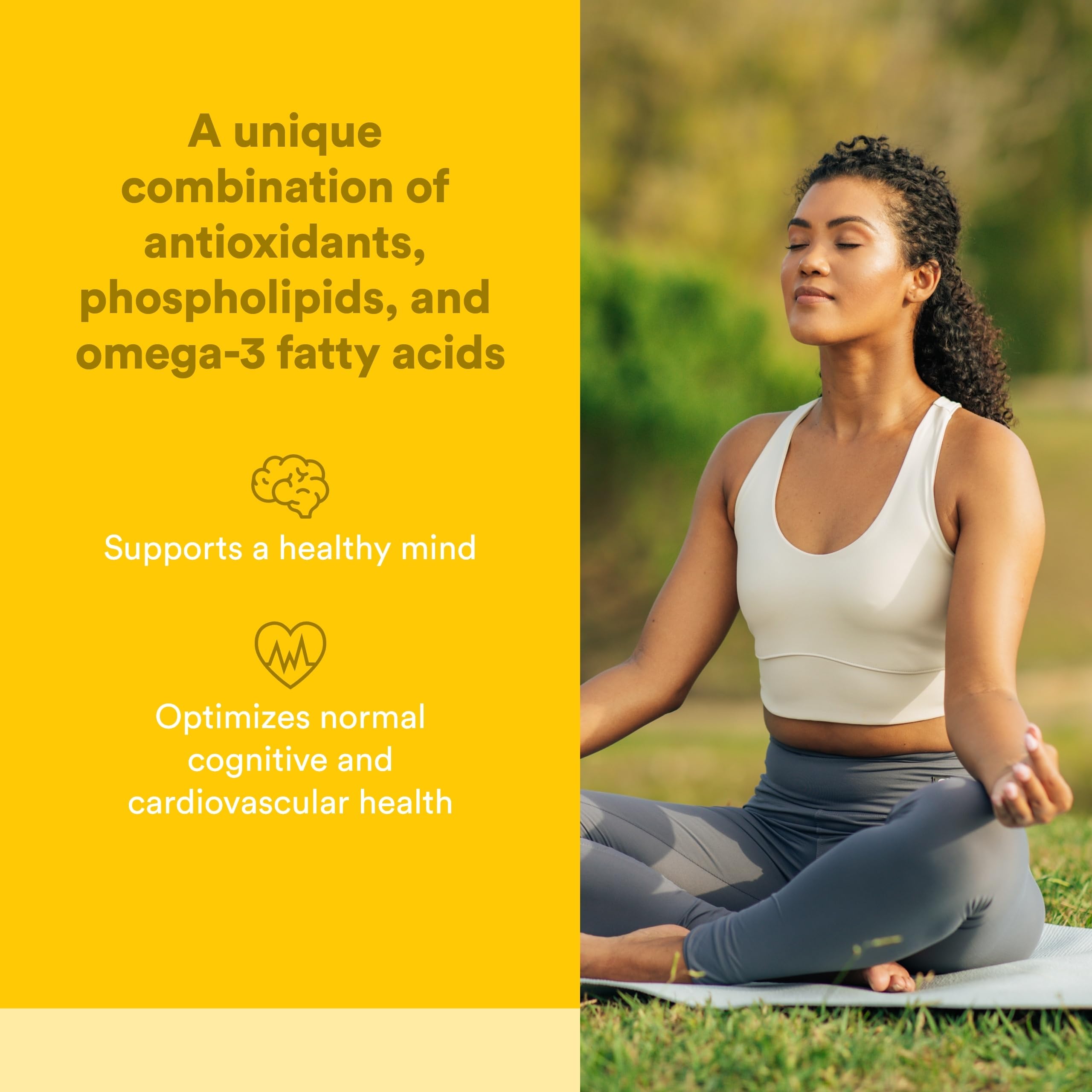 Natural Factors Higher Thoughts - Supports Cognitive & Cardiovascular Health* - Fish Oil, Fatty Acids, EPA, DHA & More - 90 Softgels Natural Factors Au supplements