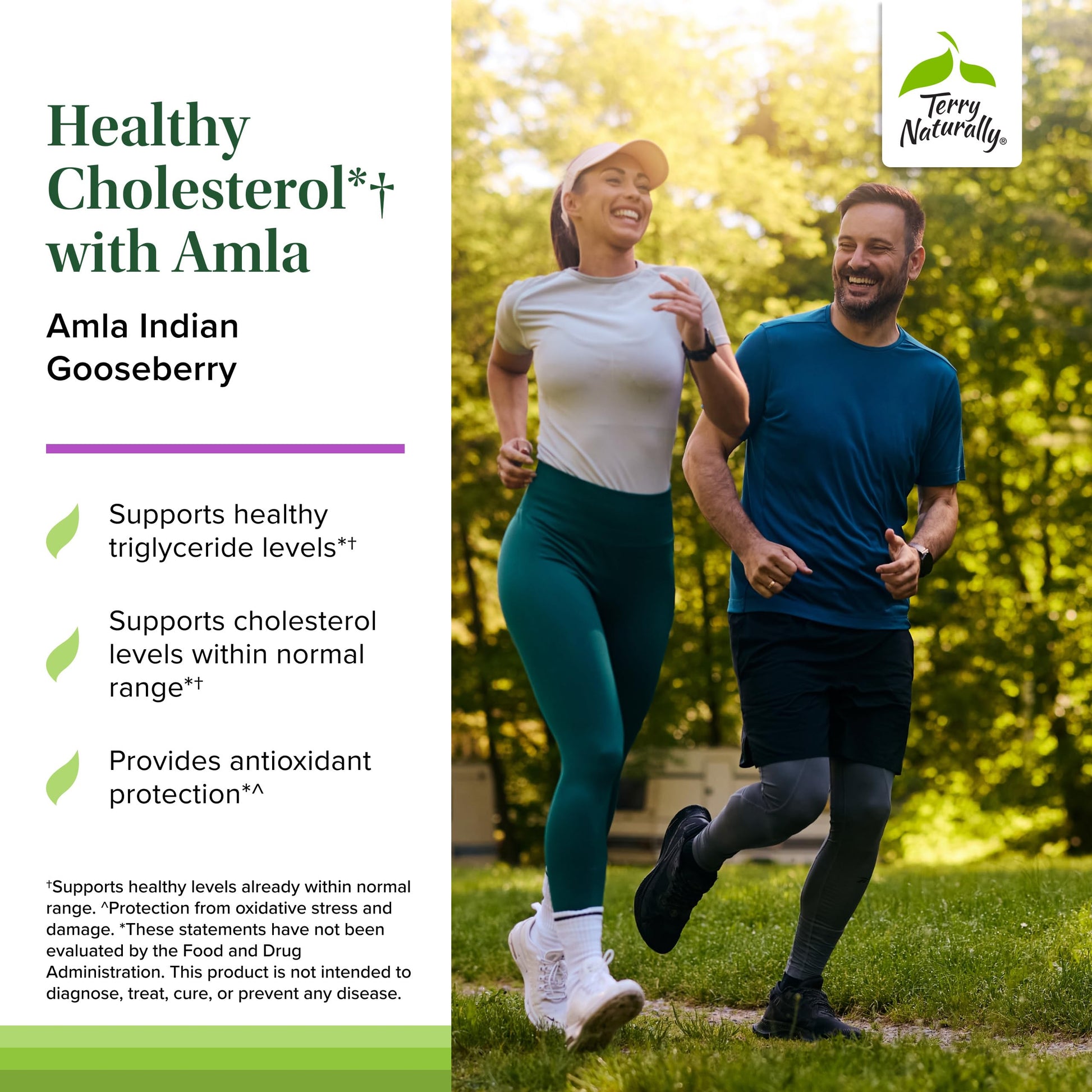 Terry Naturally Healthy Cholesterol with Amla - Antioxidant Supplement for Immune & Heart Support - Supplement to Aid Healthy Cholesterol & Triglyceride - 60 Capsules Terry Naturally Au supplements