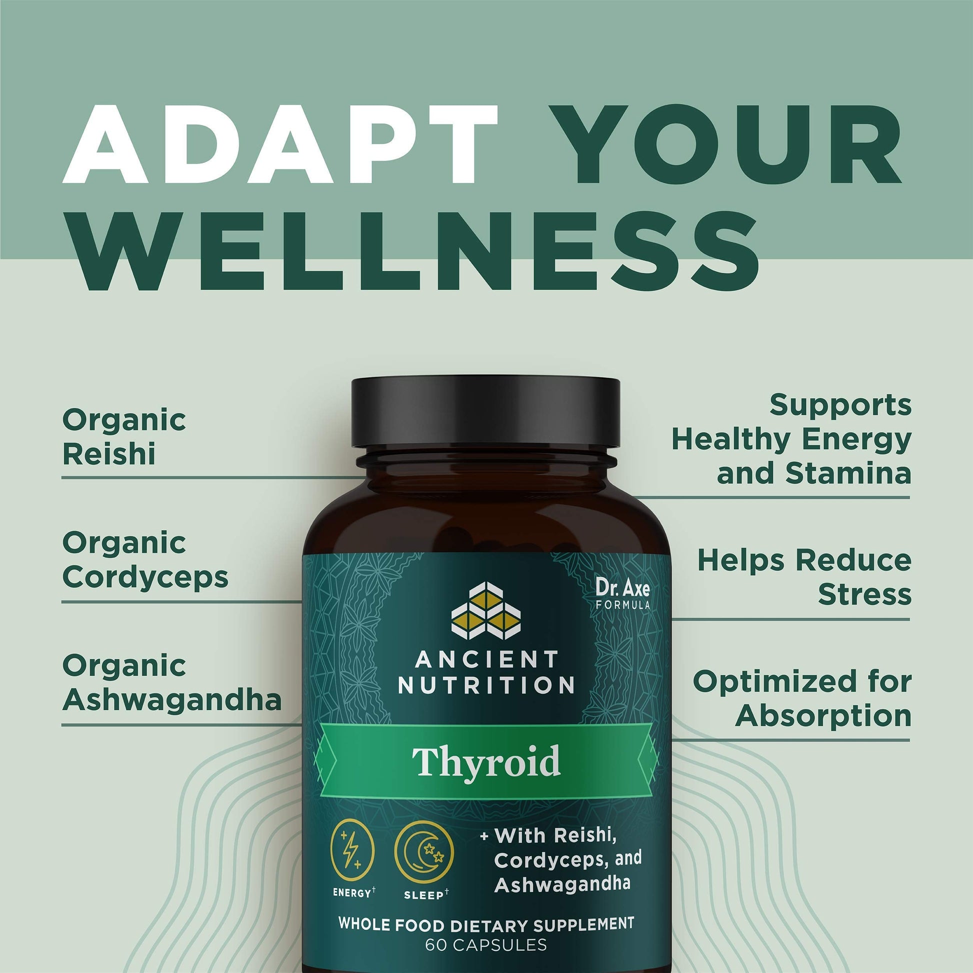 Ancient Nutrition Thyroid Support Supplement with Ashwaghanda, Thyroid Capsules Ancient Nutrition Au supplements