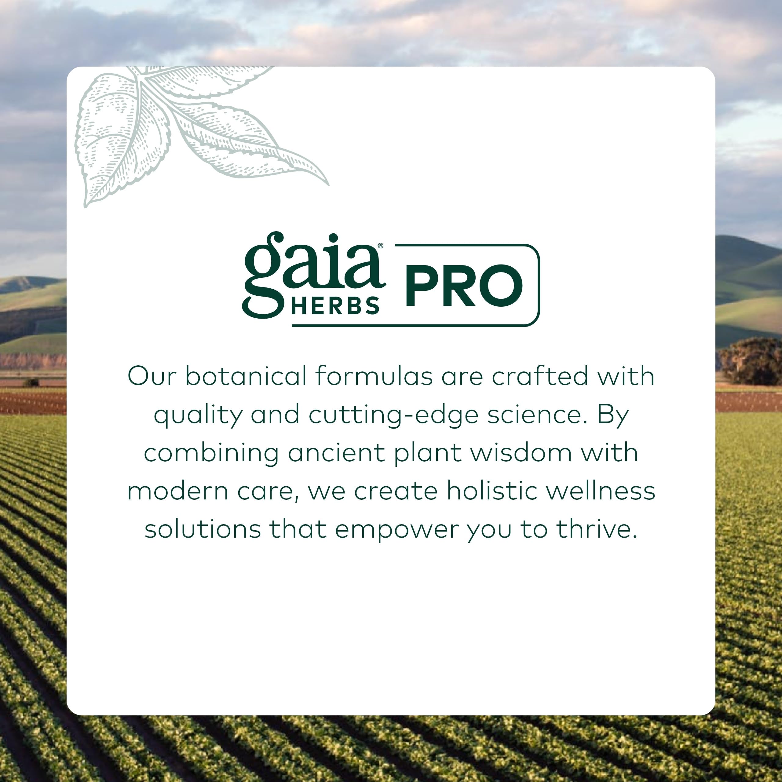 Gaia Herbs Pro Female Hormone Formula PM - Women's Health Supplement for Menopause & Sleep Support - Black Cohosh & St. John's Wort - Vegan, Soy-Free & Gluten-Free - 60 Liquid Phyto-Caps (30 Servings) Gaia Herbs PRO Au supplements