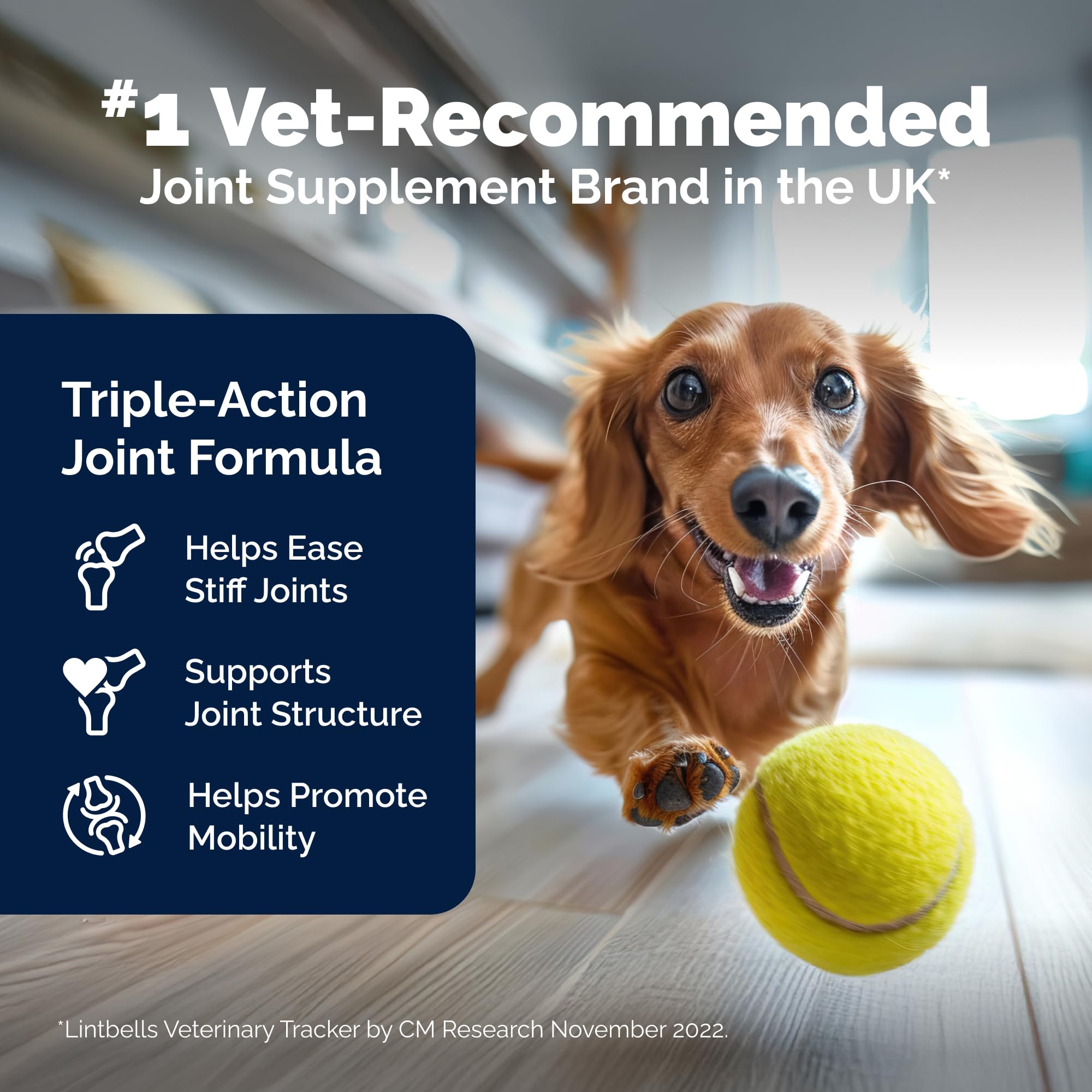 Yumove Hip & Joint Supplement for Dogs with Glucosamine, Hyaluronic Acid, Green Lipped Mussel & Omega 3 Joint Supplement - Regular or Advanced Strength (90 Count, Advanced Vet Strength Soft Chews) YuMOVE Au supplements
