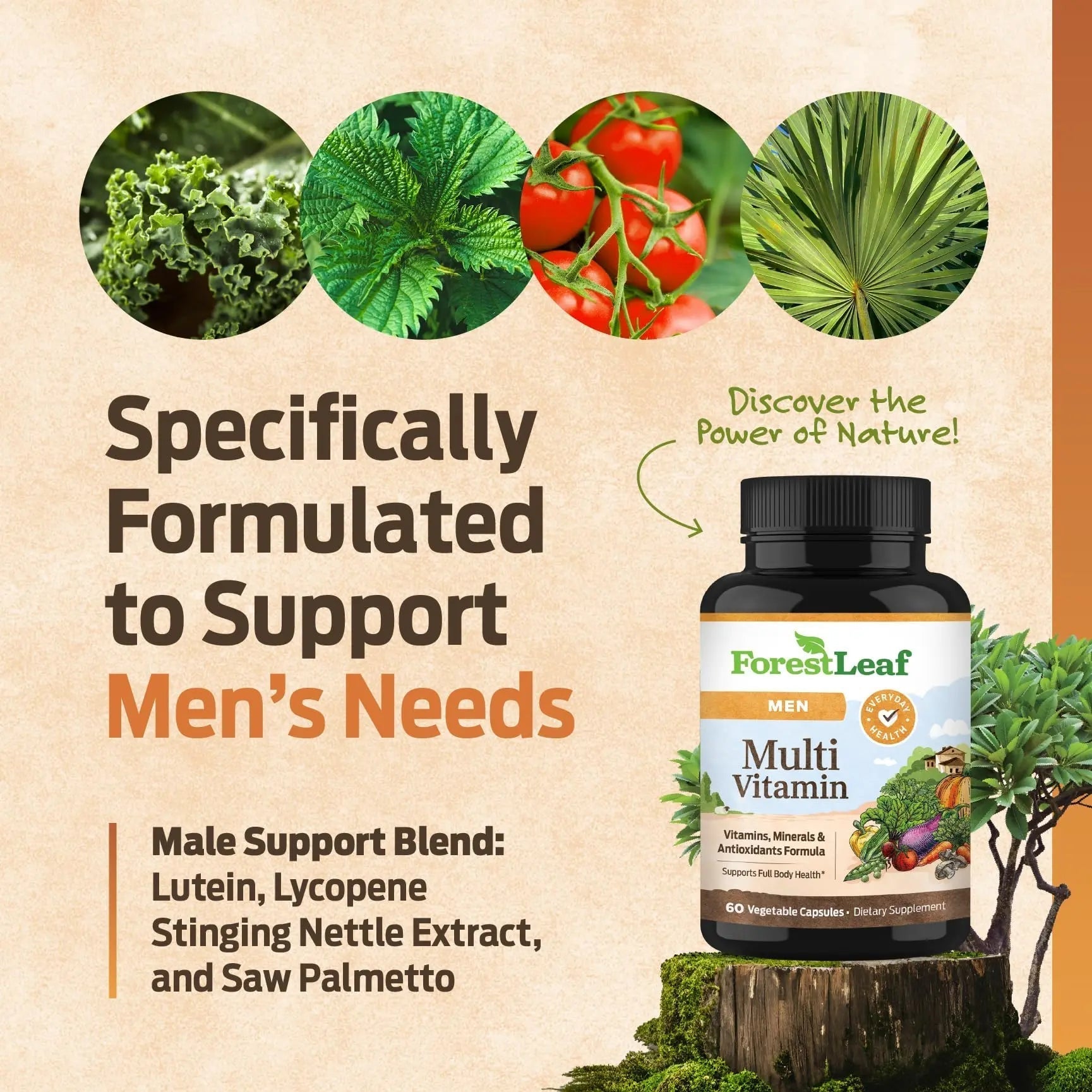 ForestLeaf Daily Vitamin Multivitamin for Men, Multi-Vitamin for Men - Mens Multivitamins & Multiminerals Supplement | ForestLeaf Au supplements