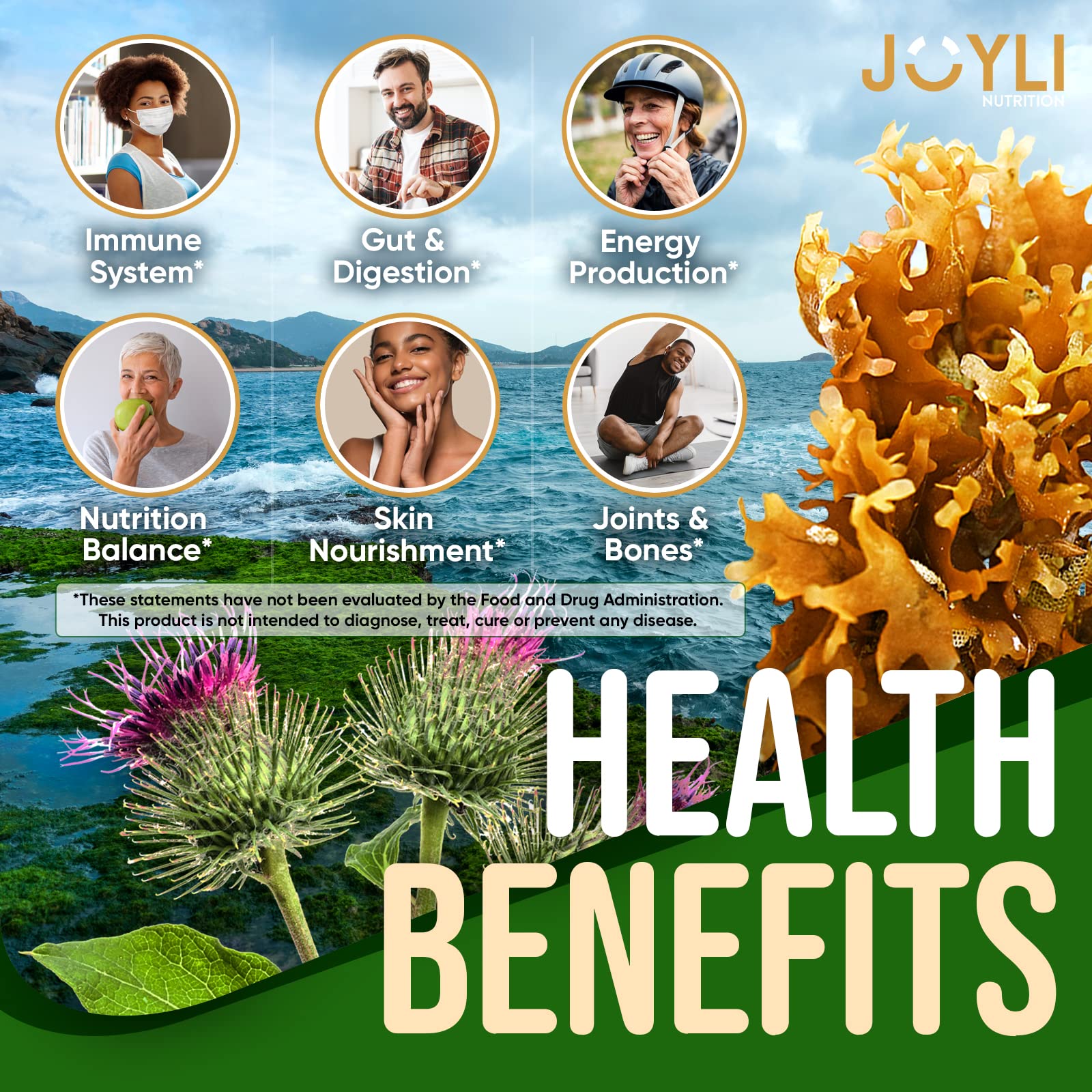 Sea Moss Gummies - Irish Seamoss Gummies for Adults & Kids - Advanced Superfood JOYLI Nutrition Au supplements