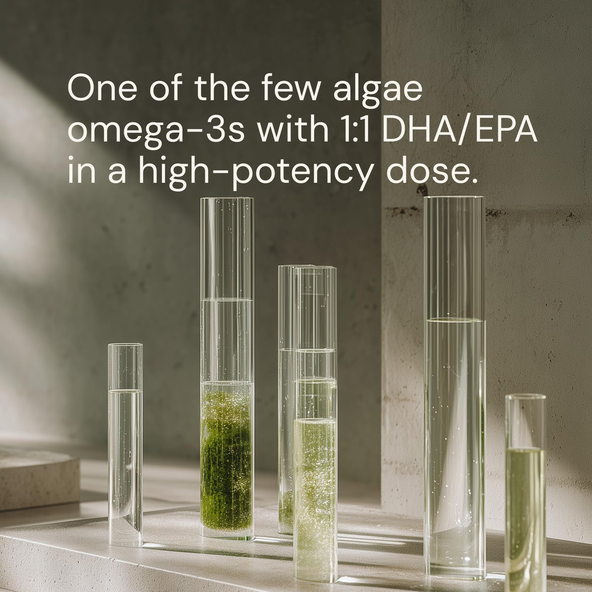 Blueprint Bryan Johnson Omega-3 - Vegan Algae Omega 3 Supplement with EPA/DHA - 800mg Plant-Based for Brain, Heart & Joint Support - High Absorption Triglyceride Form - 1:1 EPA/DHA Blueprint Bryan Johnson Au supplements