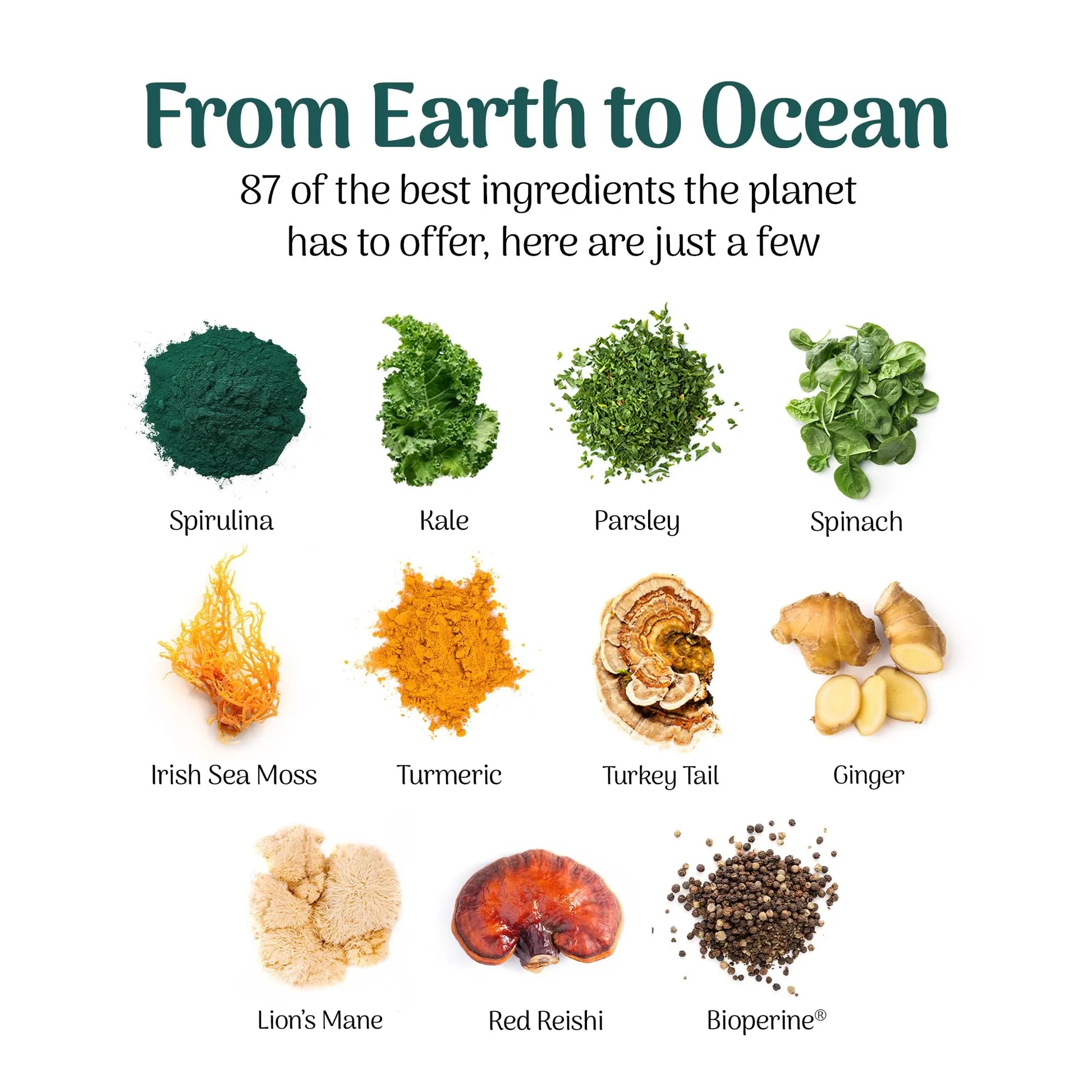 Earth Powder Daily Foundational Nutrition Supplement with 28 Greens & 10 Mushrooms | 87 Nutrients for Energy, Gut Health & Mental Clarity Earth Powder Au supplements