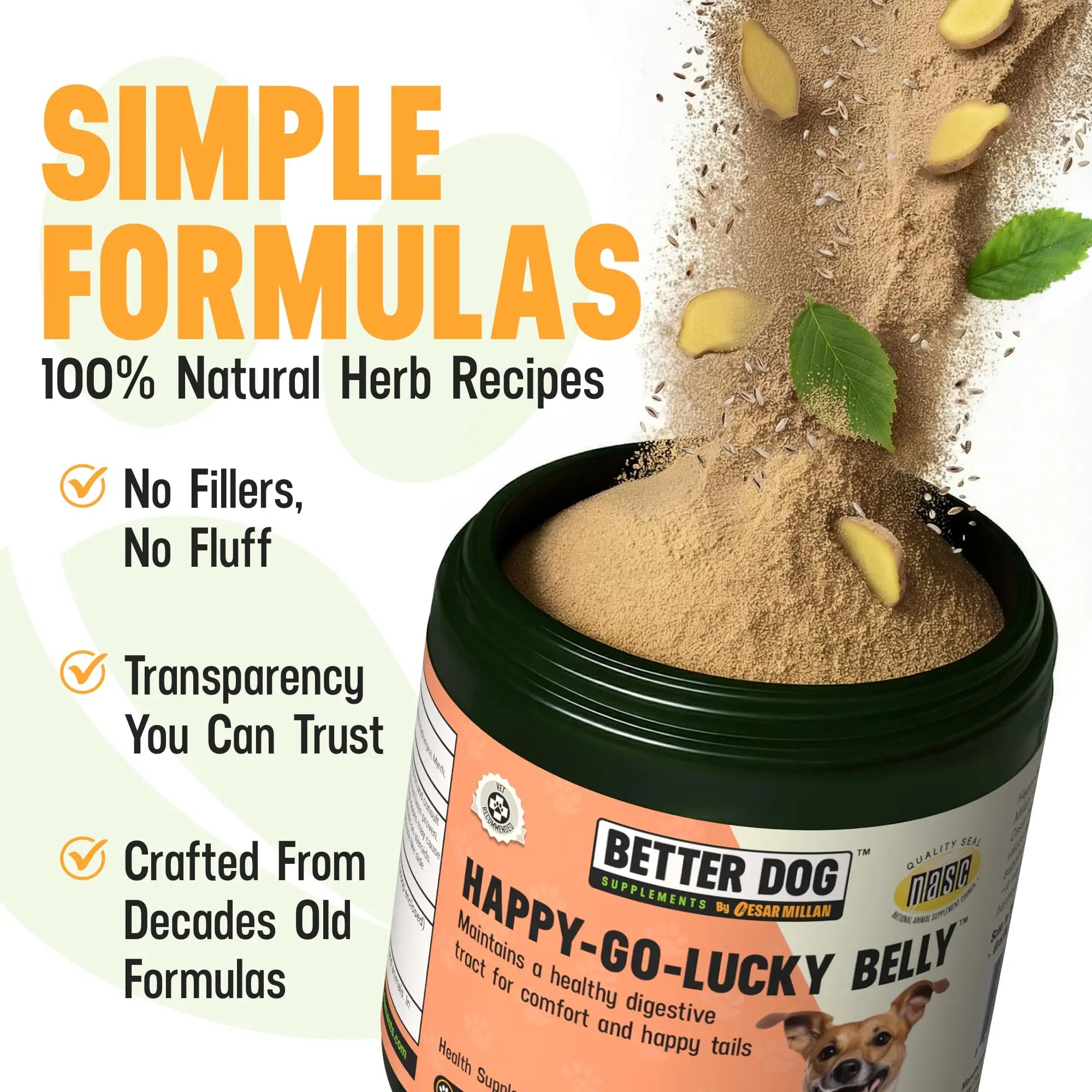 Better Dog Supplements Happy-Go-Lucky Belly by Cesar Millan - Natural Dog Digestive Support Powder – Dog Constipation Relief, Gut Balance & Regularity with Herbal Fiber for Dogs – 4oz (60-Day Supply) Better Dog Supplements By Cesar Millan Au supplements