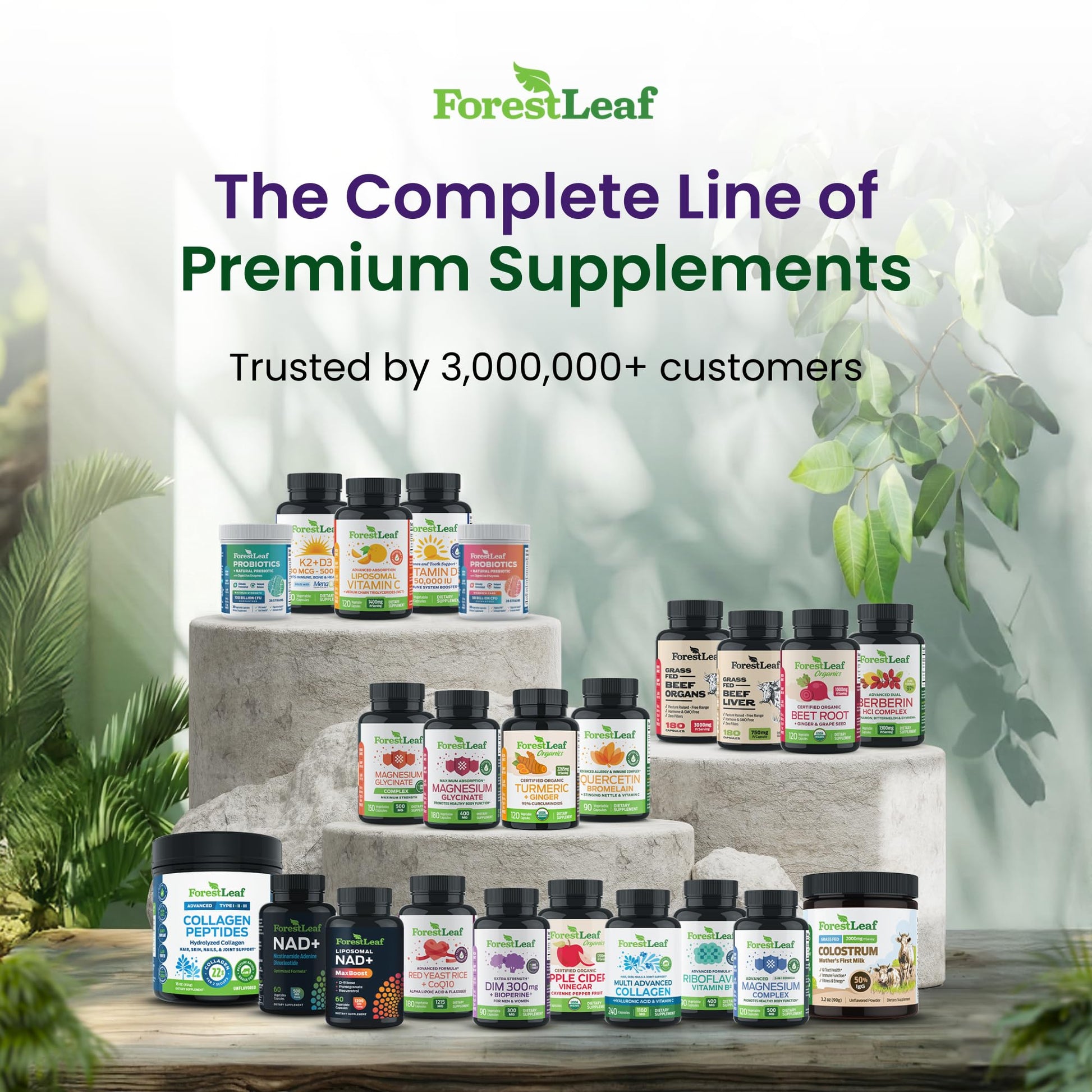 ForestLeaf Glucosamine Chondroitin MSM Joint Supplement Complex - 1200mg - 120 Caps ForestLeaf Au supplements