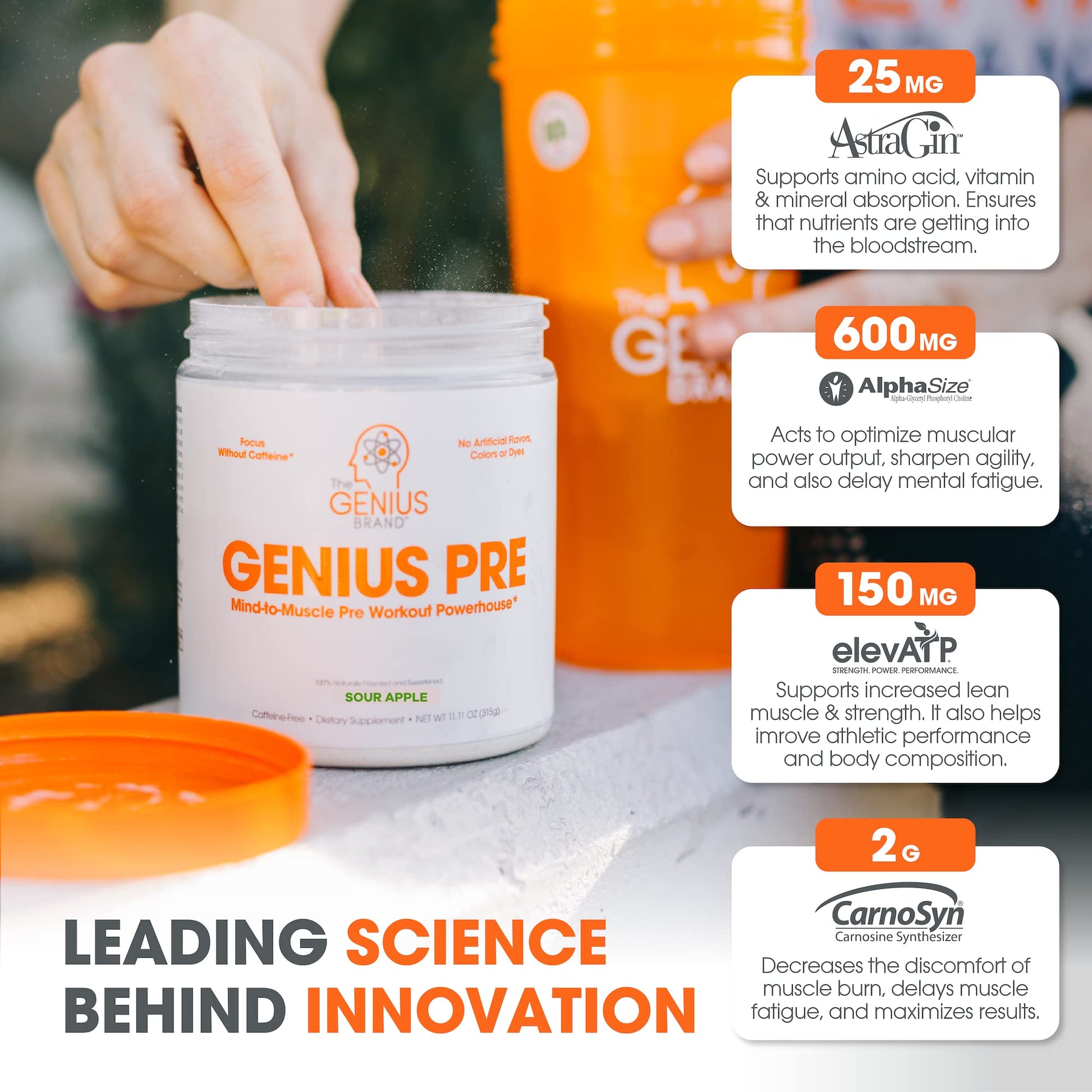 Genius Pre Workout Powder, Sour Apple, and Genius Micronized Creatine Monohydrate The Genius Brand Au supplements