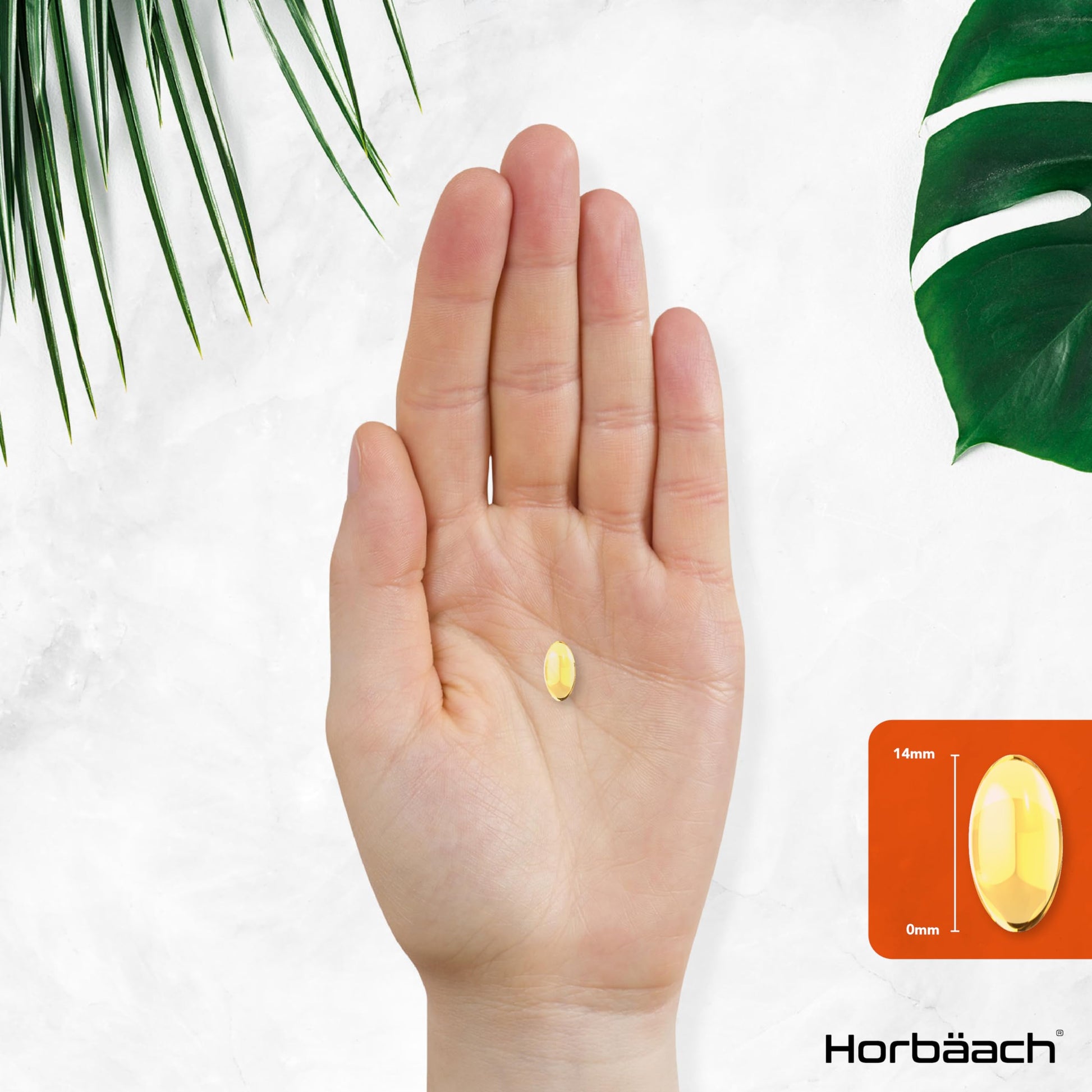 Vitamin A Capsules 10,000iu | 365 Count (1 Year Supply) | High Strength Vitamin A Supplem Horbäach Au supplements
