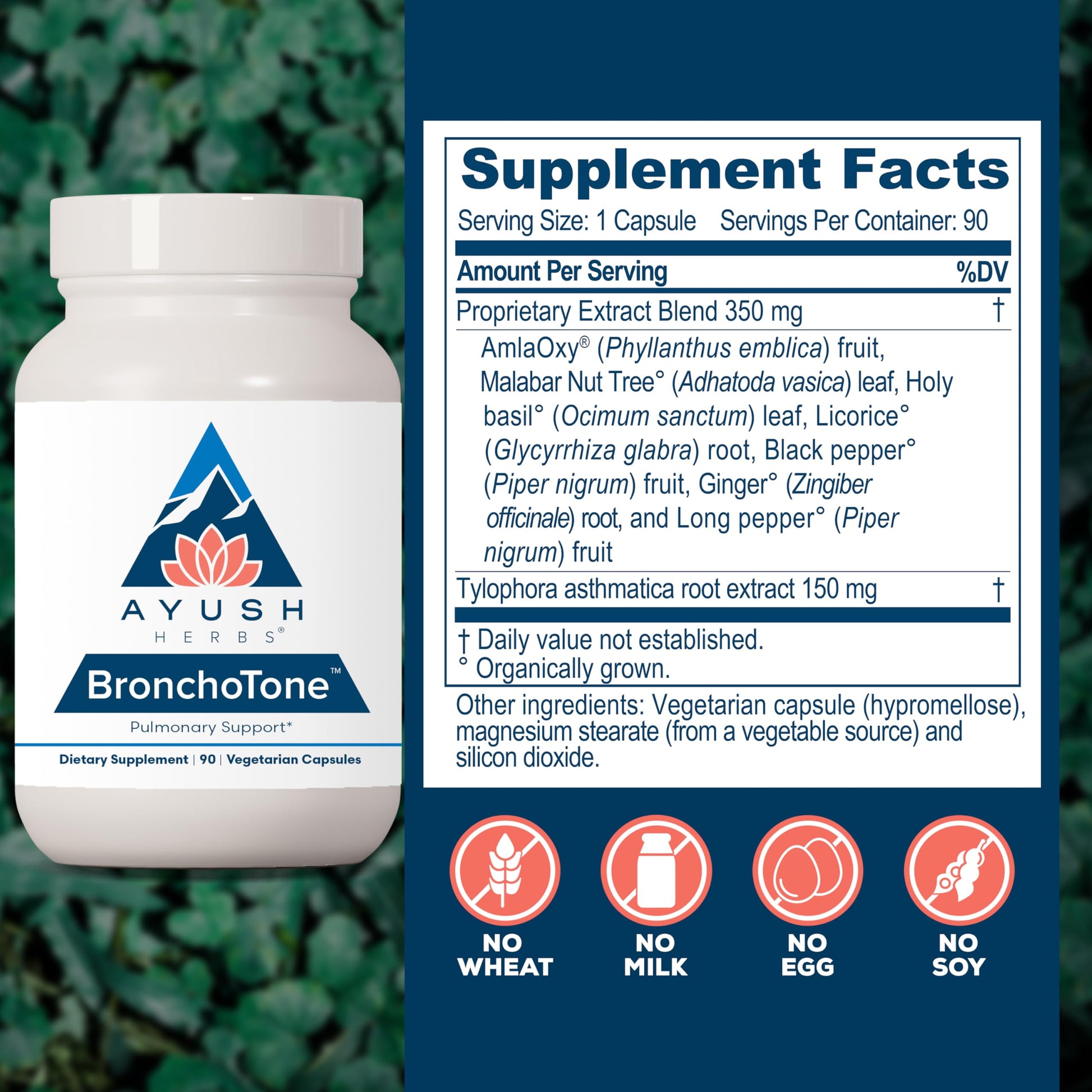 Ayush Herbs Bronchotone - Bronchial Support, Respiratory and Immune-Support Support Supplement for Women & Men, Adults, Pulmonary Care Supplement - 90 Vegetarian Capsules (1 Count) Ayush Herbs Au supplements