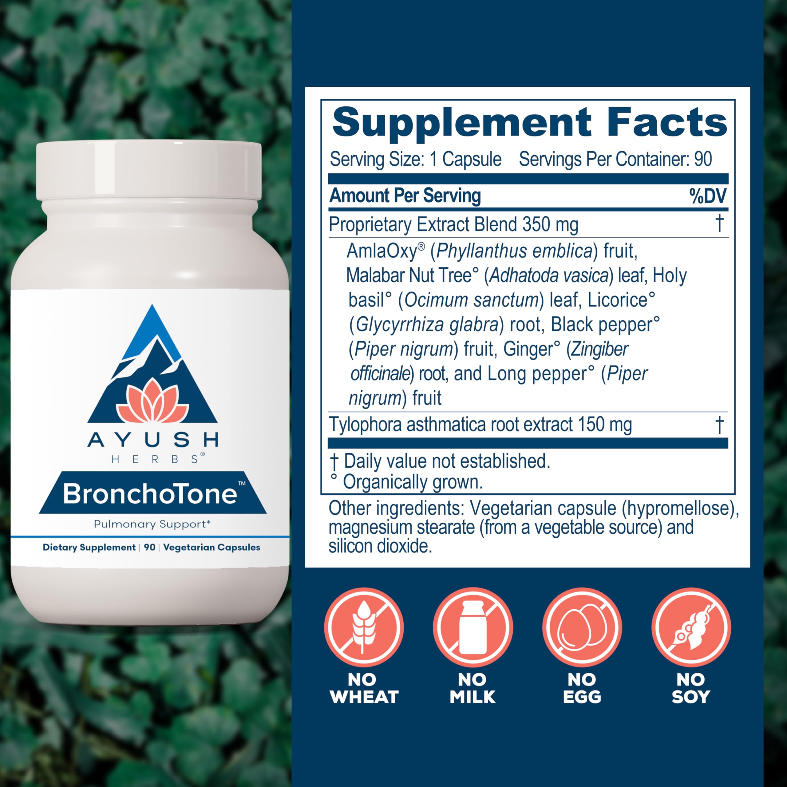 Ayush Herbs Bronchotone - Bronchial Support, Respiratory and Immune-Support Support Supplement for Women & Men, Adults, Pulmonary Care Supplement - 90 Vegetarian Capsules (1 Count) Ayush Herbs Au supplements