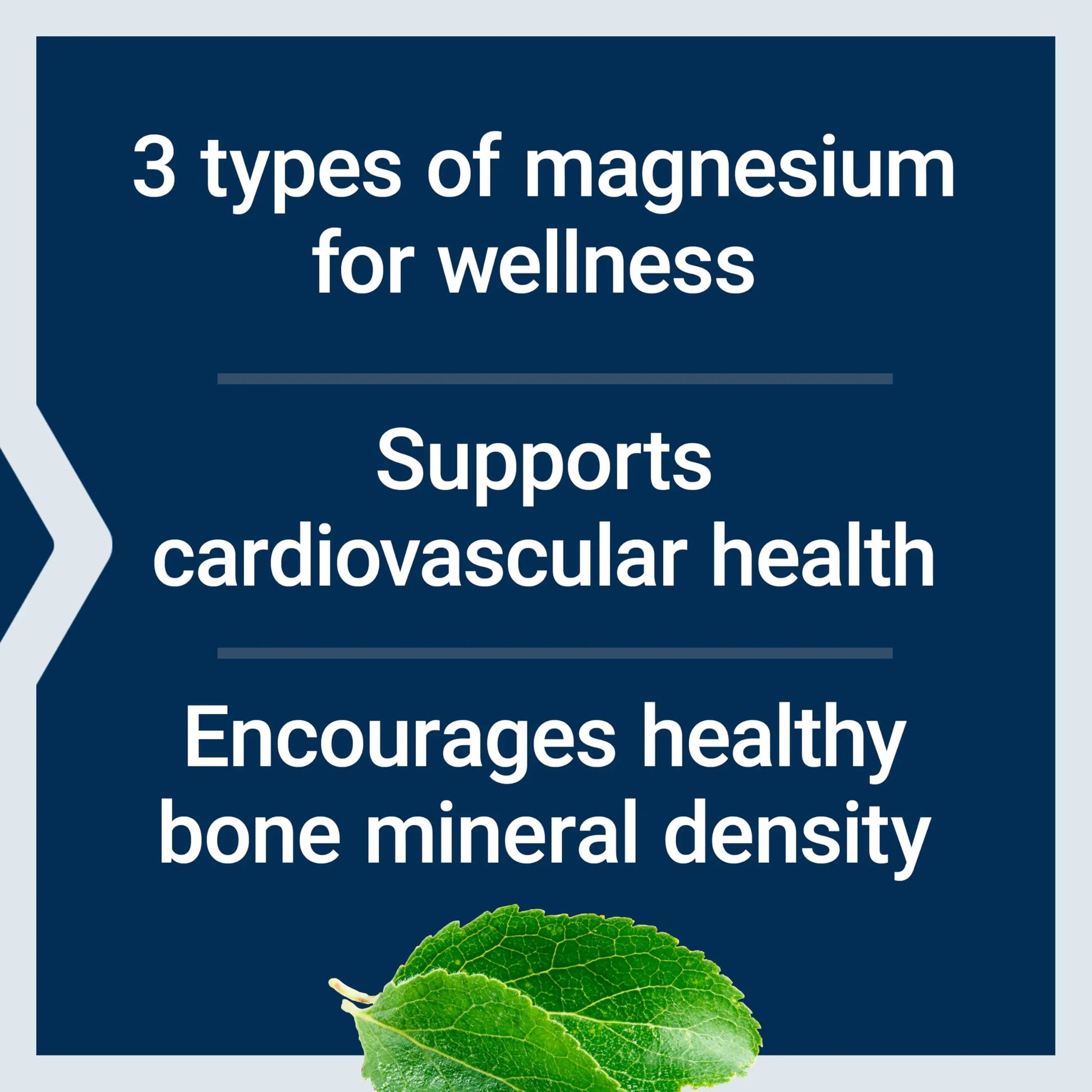 Life Extension Magnesium Caps, 500 mg, Magnesium Oxide, Citrate, and Succinate, Heart Health, Healthy Bones, Metabolism Support, 100 Vegetarian Capsules Life Extension Au supplements