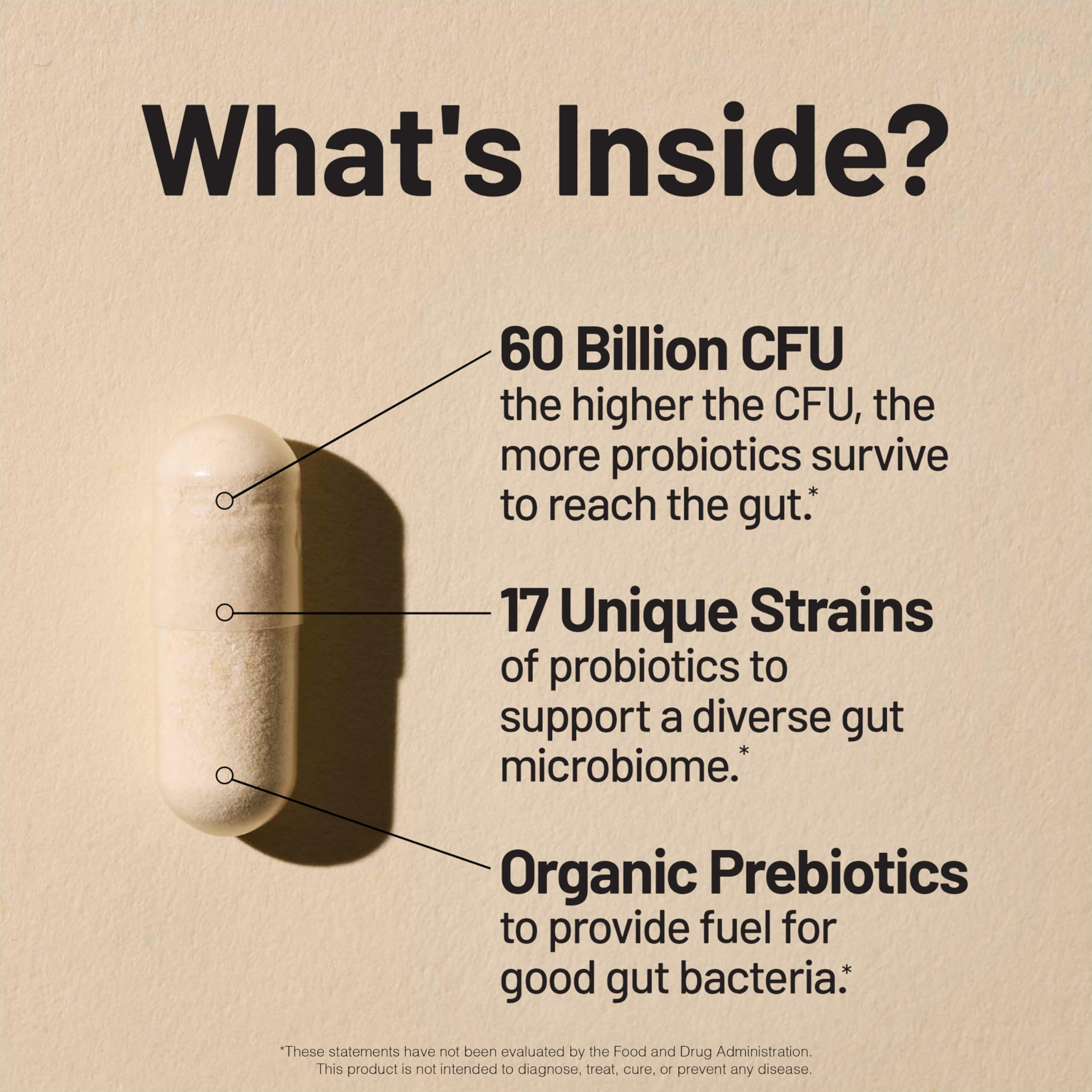 NatureWise Probiotics 60 Billion CFU - 17 Strains + Organic Prebiotics - Immune, Digestive & Gut Health Support for Women & Men - Vegetarian, Gluten-Free, Non-GMO - 30 Capsules[1-Month Supply] NatureWise Au supplements