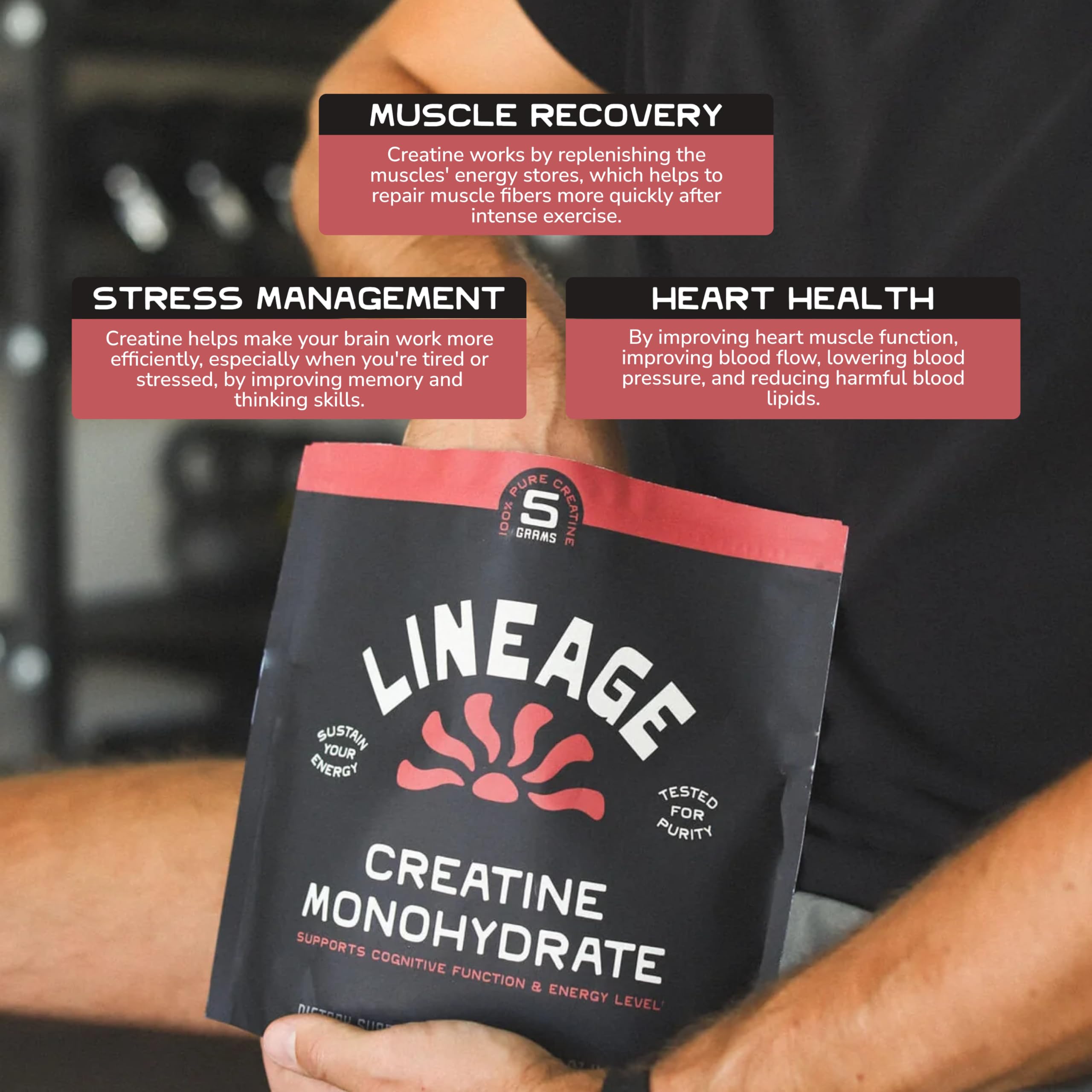 Lineage Provisions Micronized Creatine Monohydrate with Sea Salt - Micronized Creatine Powder for Training & Performance – No Artificial Ingredients – 90 Servings Lineage Provisions Au supplements