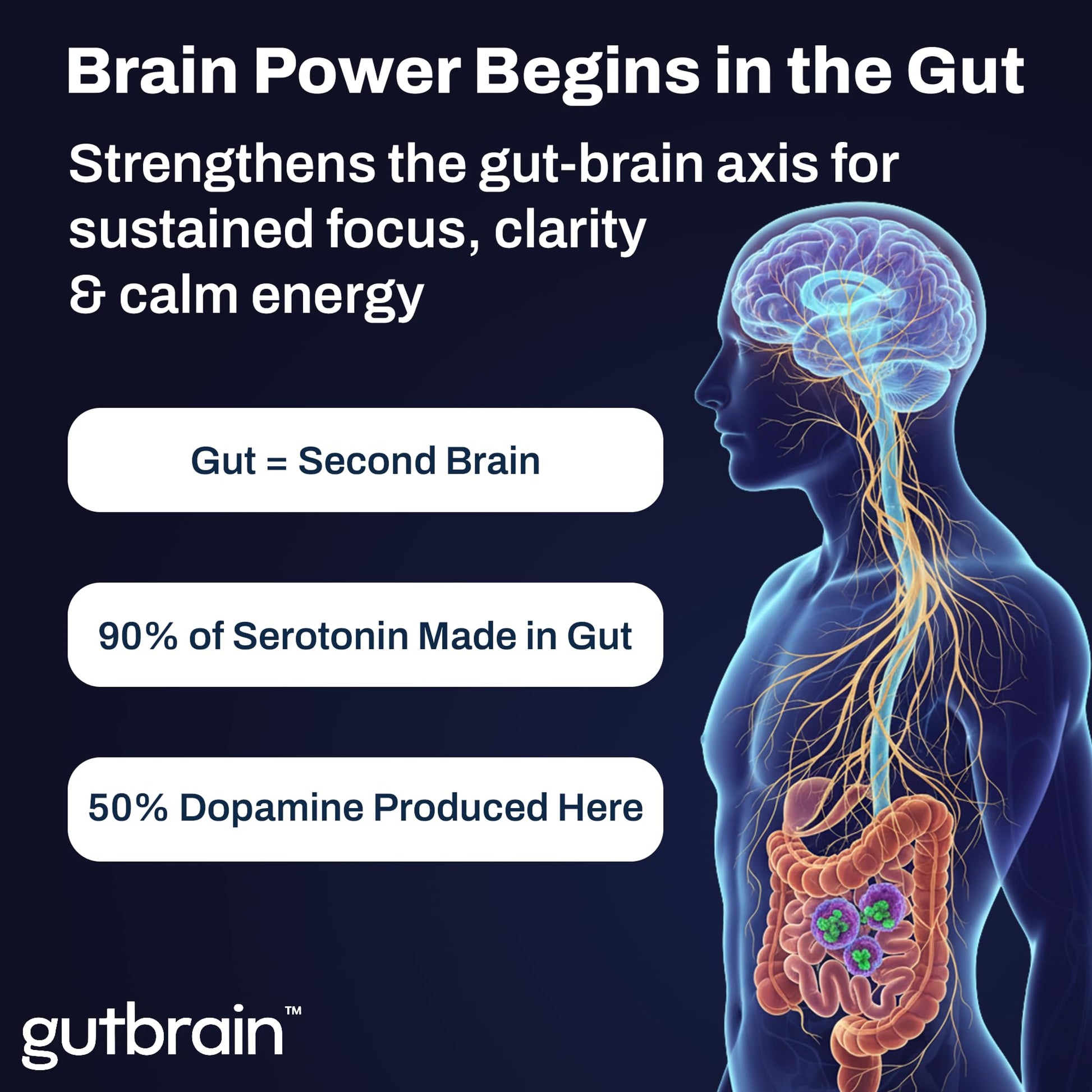 Brain Supplement for Memory and Focus with Probiotics, Advanced 2 in 1 Nootropic Brain Support for Mental Clarity, Caffeine Free Doctor Formulated Supplement, 60 Capsules Purity Labs Au supplements