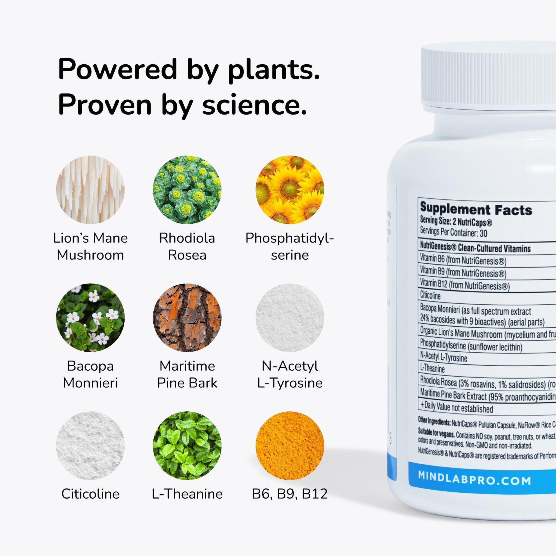 Mind Lab Pro® MLP® v4 Universal Nootropic™ Brain Booster Supplement for Focus, Memory, Clarity, Energy - 60-Count - Plant-Based, Naturally Sourced Memory Vitamins for Better Brain Health, Made in USA Mind Lab Pro Au supplements
