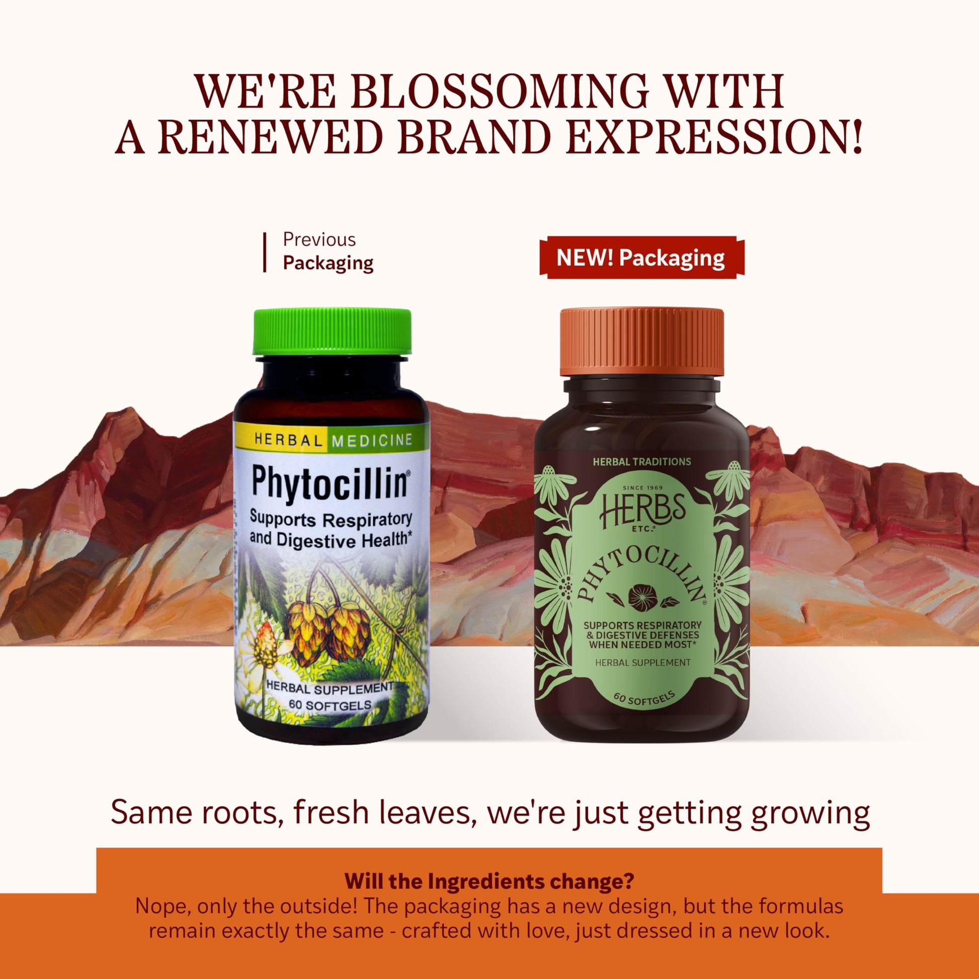 Herbs Etc. Phytocillin - Respiratory & Digestive Health Support Supplement - Herbal Formula to Support Digestion - Support Healthy Breathing - 60 Softgels (60 Servings) Herbs Etc. Au supplements