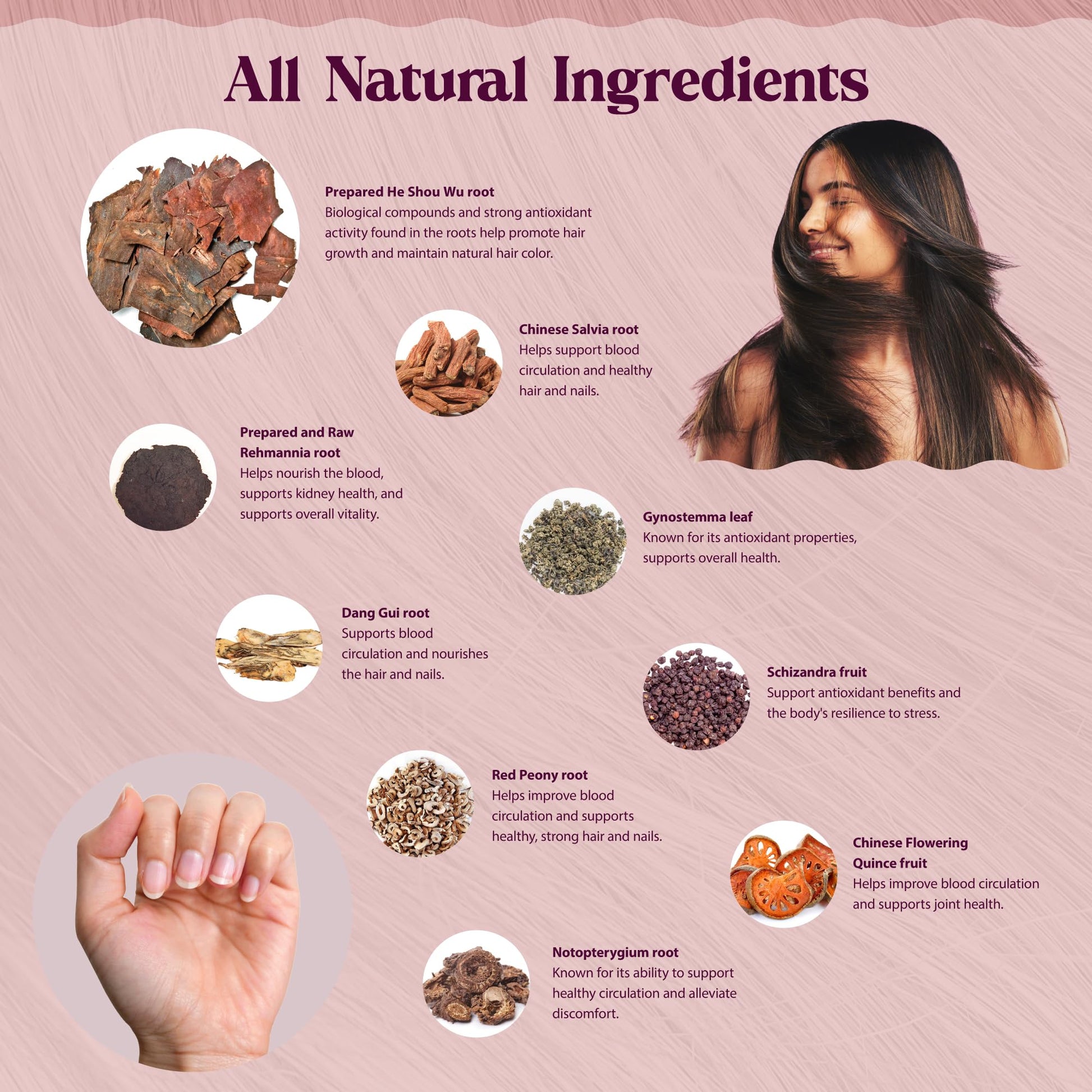 Dragon Herbs Hair and Nails | All Natural Supplement to Support Hair, Nails, Healthy Aging, and Circulation | All Natural Ingredients, Non-GMO (100 Capsules, 500 mg Per Capsule) Dragon Herbs Au supplements