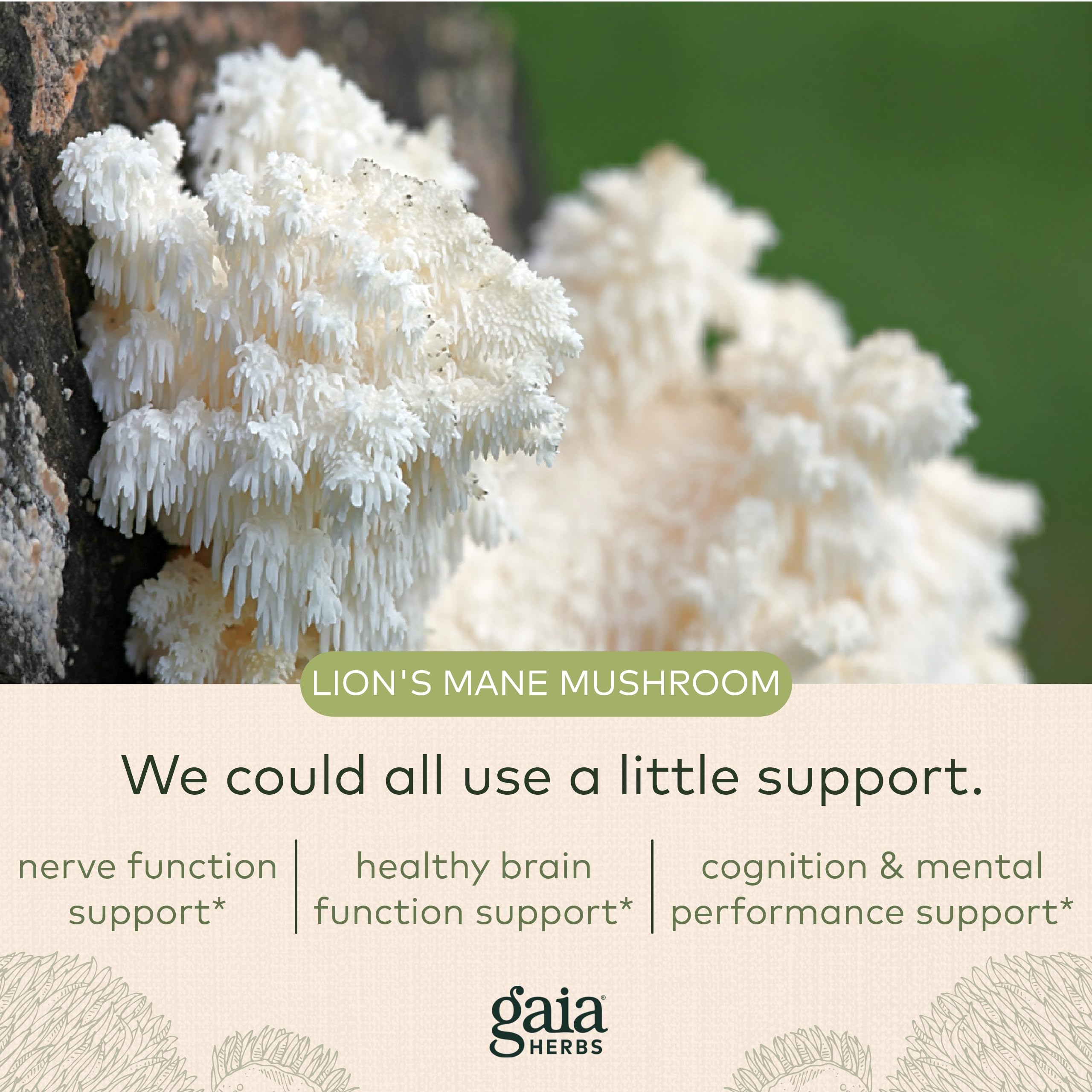 Gaia Herbs Organic Lion’s Mane Mushroom - Brain and Nerve Support Supplement Gaia Herbs Au supplements