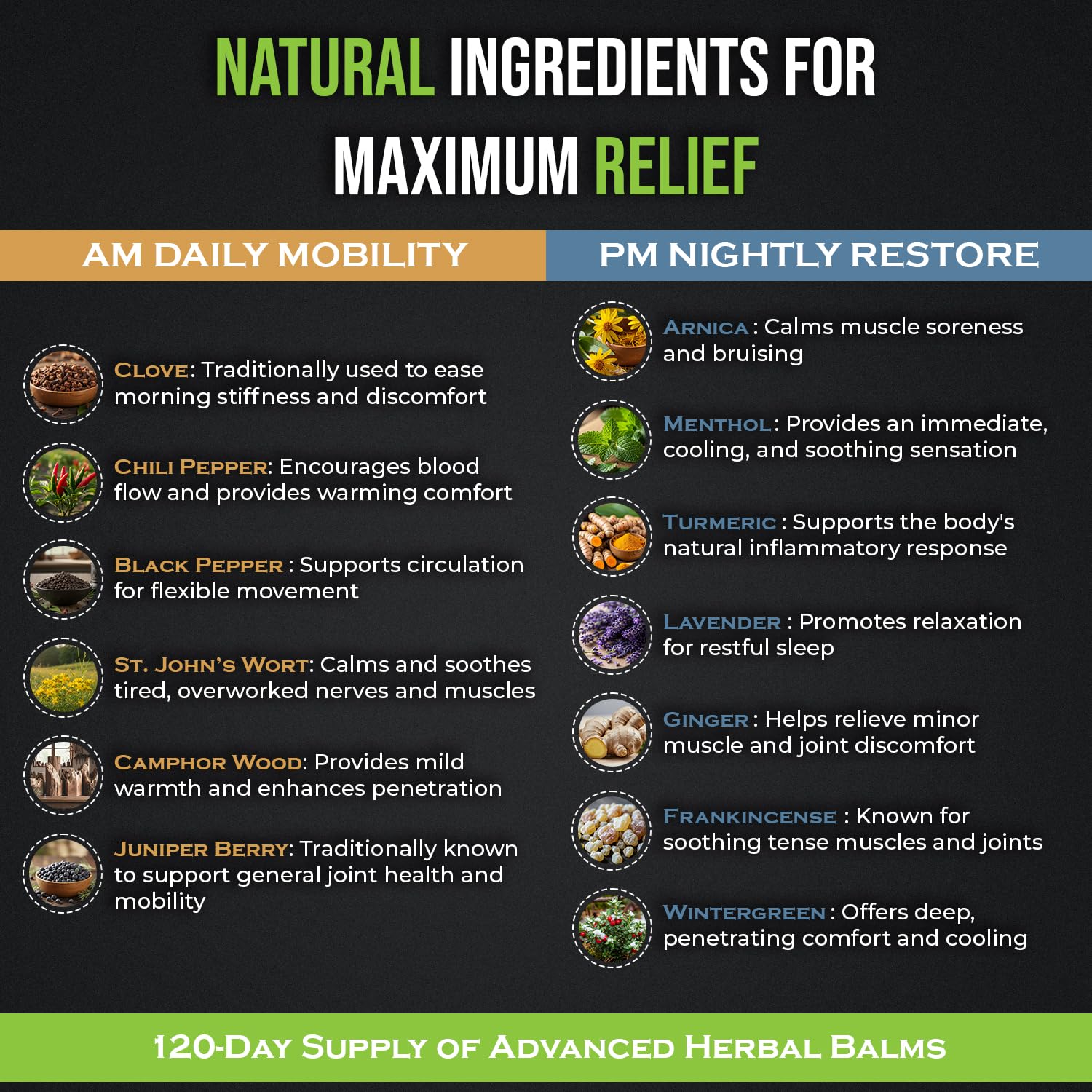 PHYTEWELL Muscle & Joint Rub Balm - Day & Night Pain Relief for Back, Knee, & Shoulder - Crafted with Arnica, Clove & Black Pepper to Support Recovery & Relaxation – Premium Non-Greasy Texture PHYTEWELL Au supplements