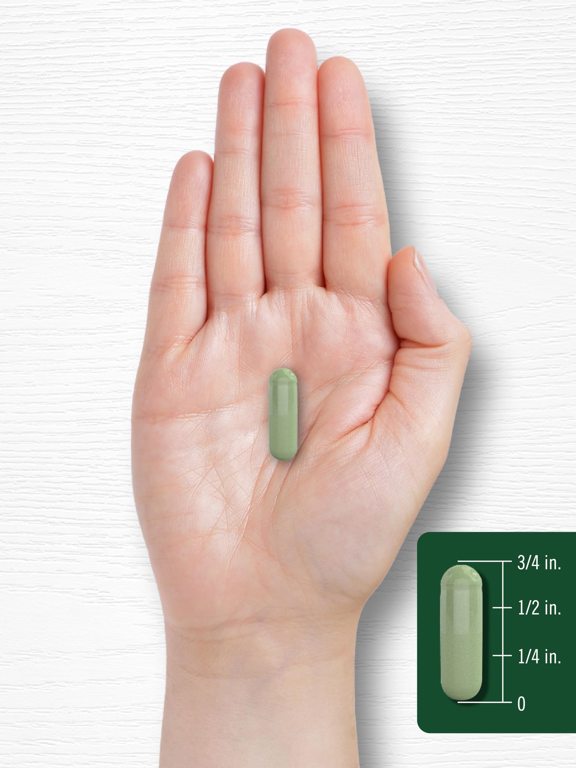 Carlyle Moringa Oleifera Supplement | 180 Capsules | Complete Green Superfood for Women and Men | Non-GMO and Gluten Free | from Moringa Leaf Powder Carlyle Au supplements