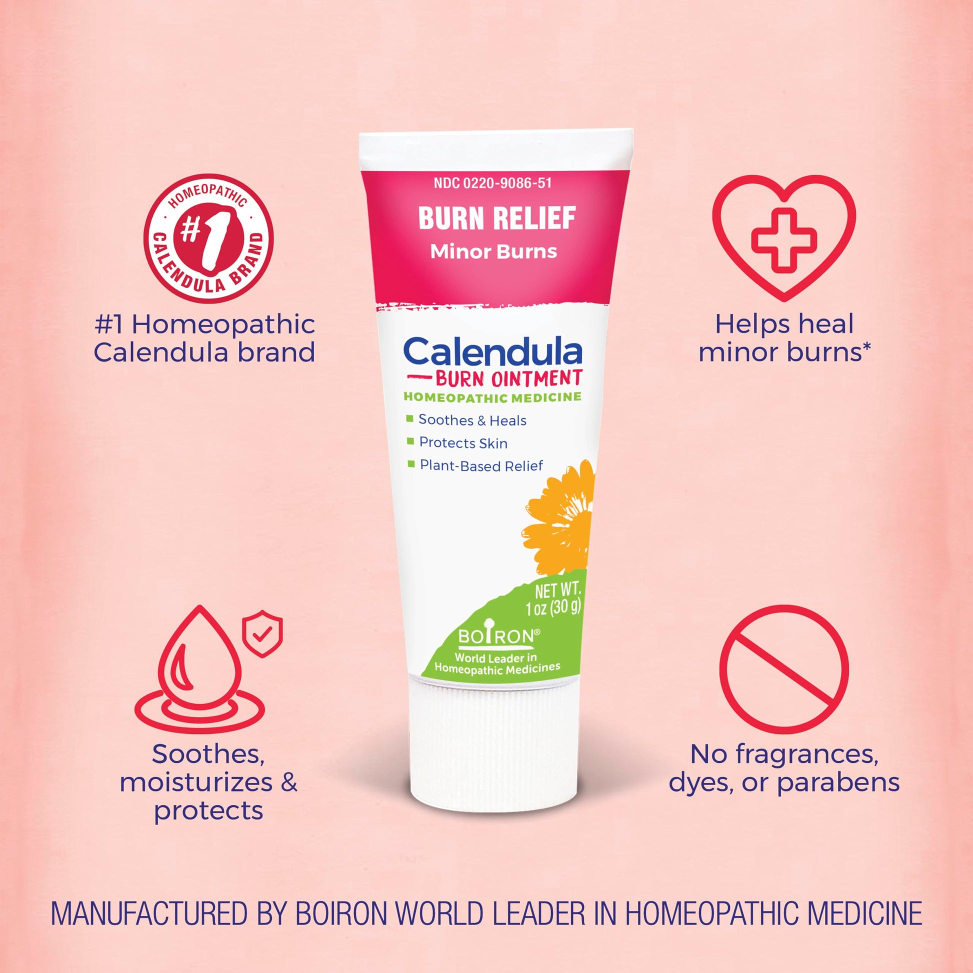 Boiron Calendula Burn Ointment for Relief from Minor Burns from Cooking, Friction, or Sunburns - 1 oz Boiron Au supplements