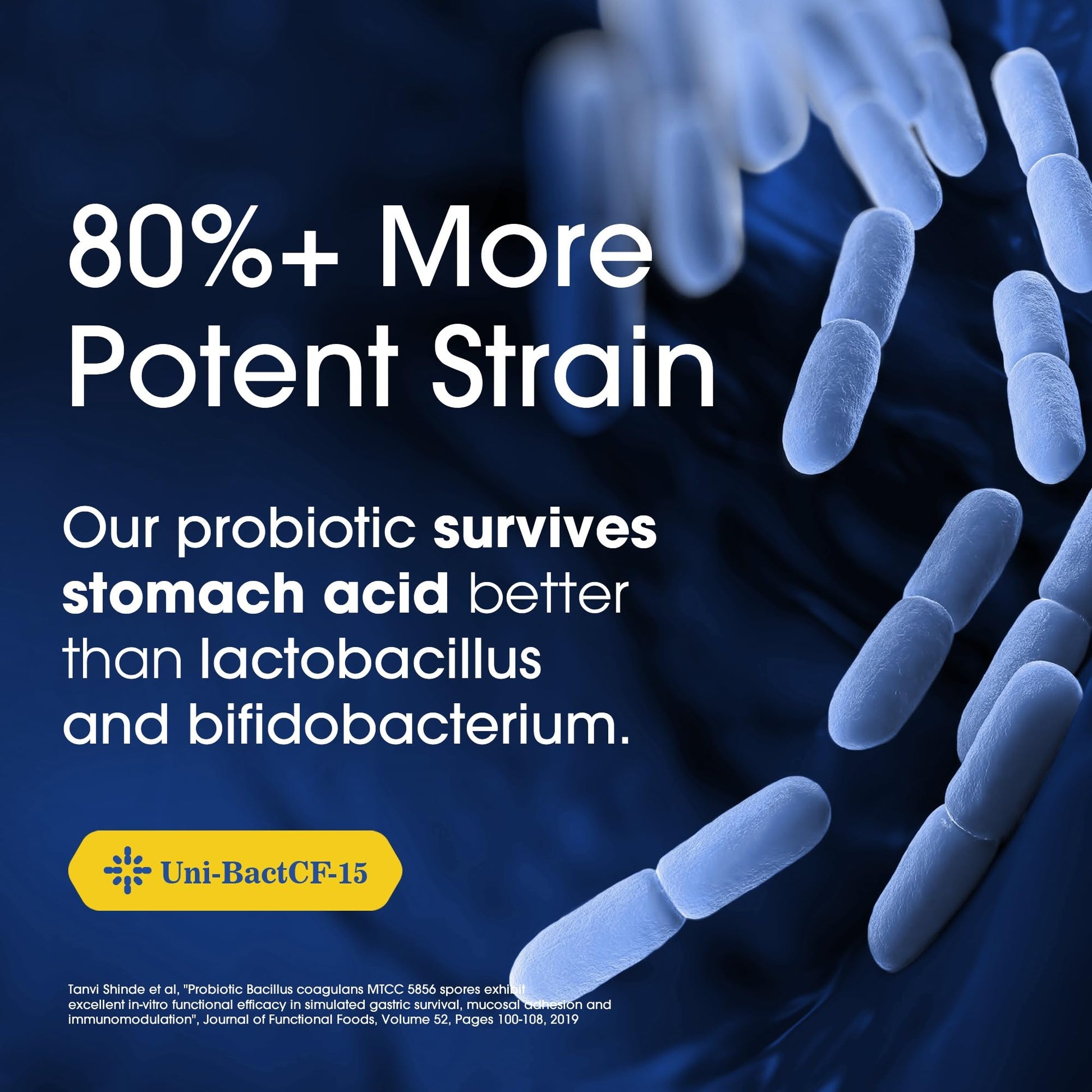 Nutrition Essentials Probiotics for Women and Men - with Lactase Enzyme and Prebiotic Fiber for Digestive Health - 80 Percent + More Potent Supplement for Gut Health Support - Vegan Formula Nutrition Essentials Au supplements