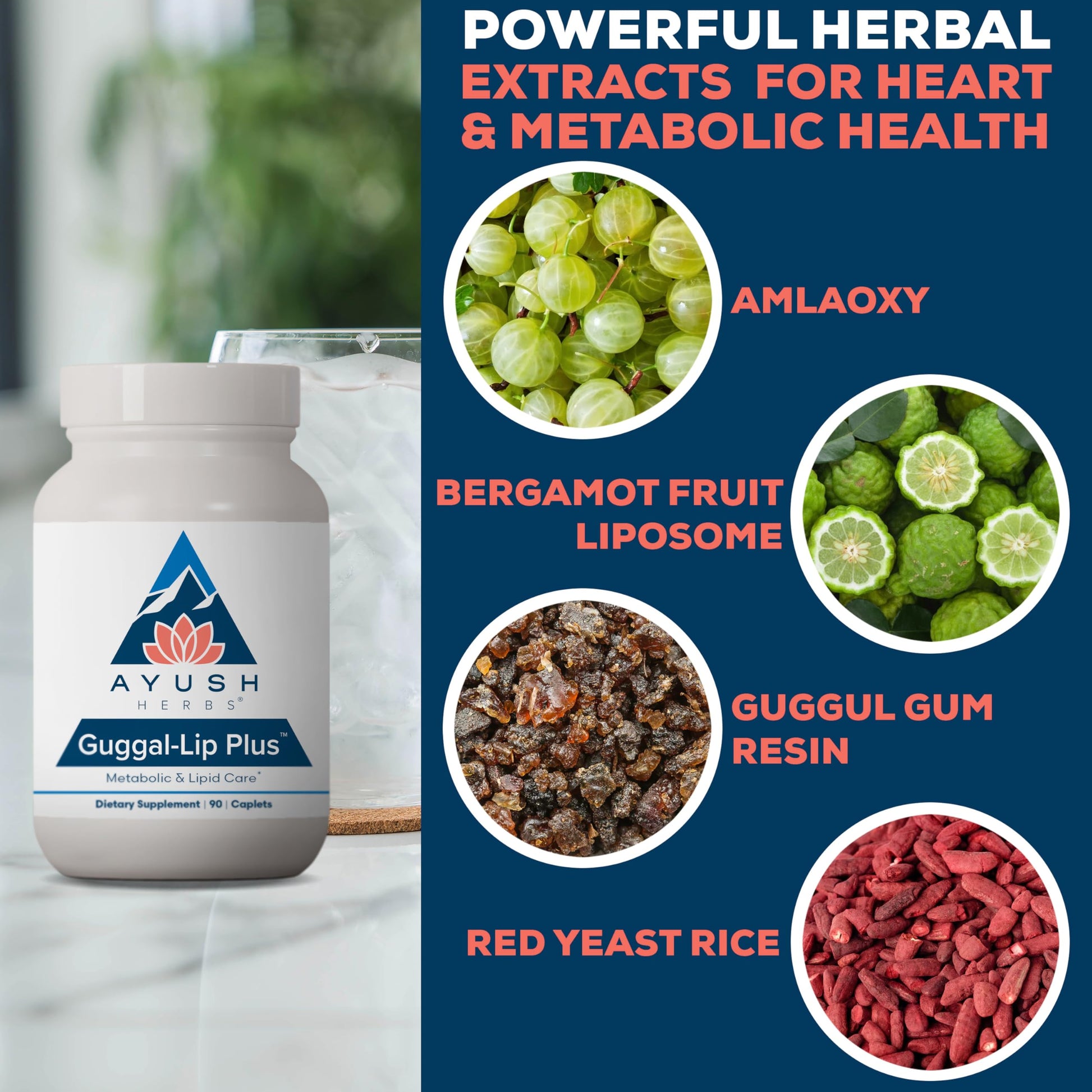 Ayush Herbs Guggal-Lip Plus - Metabolic Vitamins for Women & Men, Daily Pill, Pure & Natural Metabolic Health Supplement with Guggul - 90 Vegetarian Caplets (1 Count) Ayush Herbs Au supplements