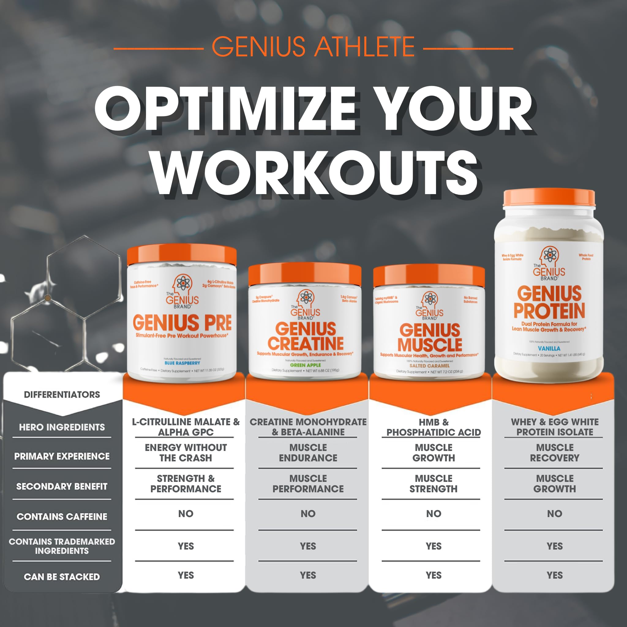 Genius Pre Workout Powder, Blue Raspberry - All-Natural Nootropic Pre-workout & Caffeine The Genius Brand Au supplements