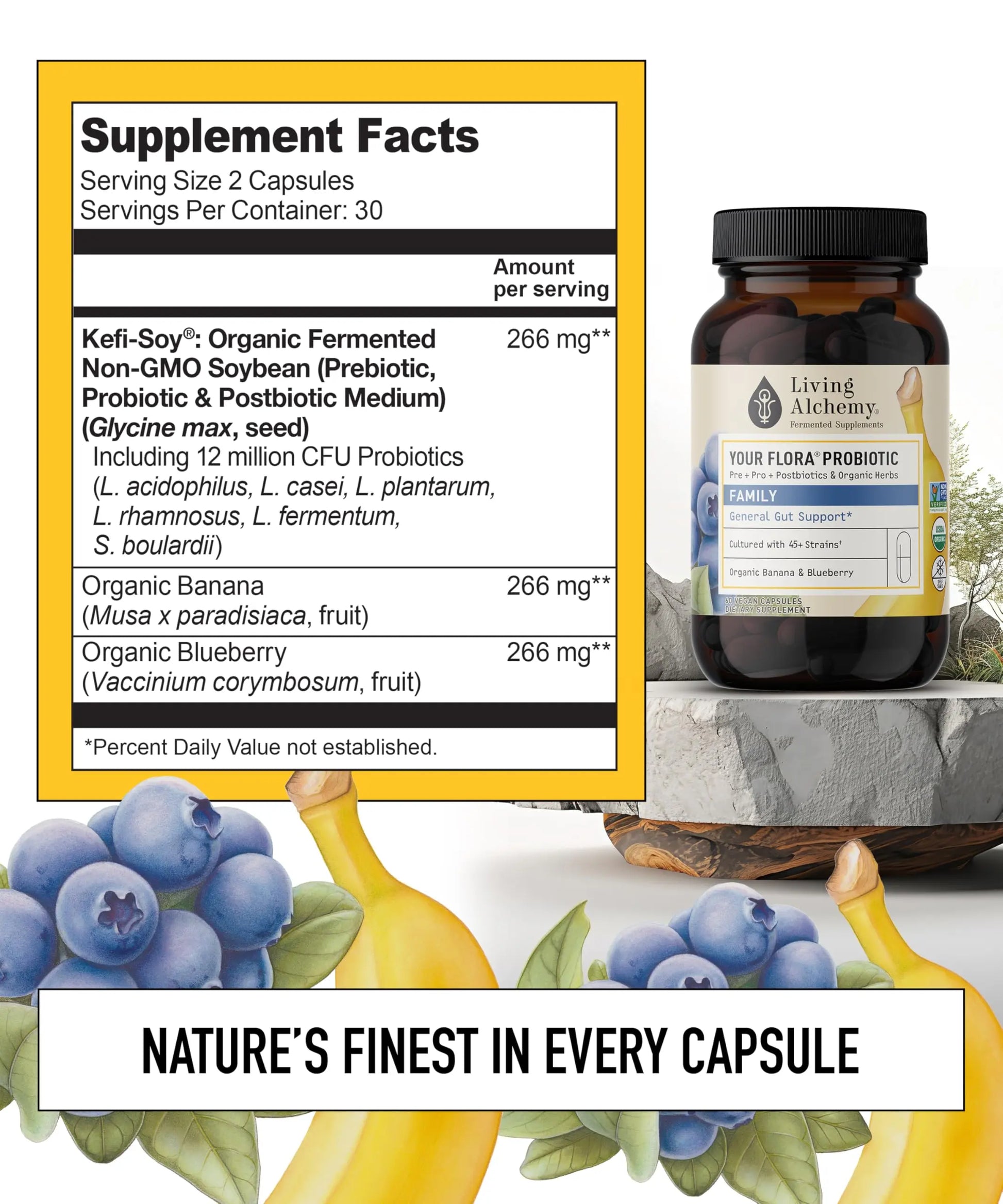 Your Flora Probiotic Family – Non-GMO Probiotics with Fermented Soybean, Banana, & Blueberry for Digestion & Gut Support – Prebiotics, Postbiotics, Digestive Enzymes – Living Alchemy, 60 Capsules Living Alchemy Au supplements
