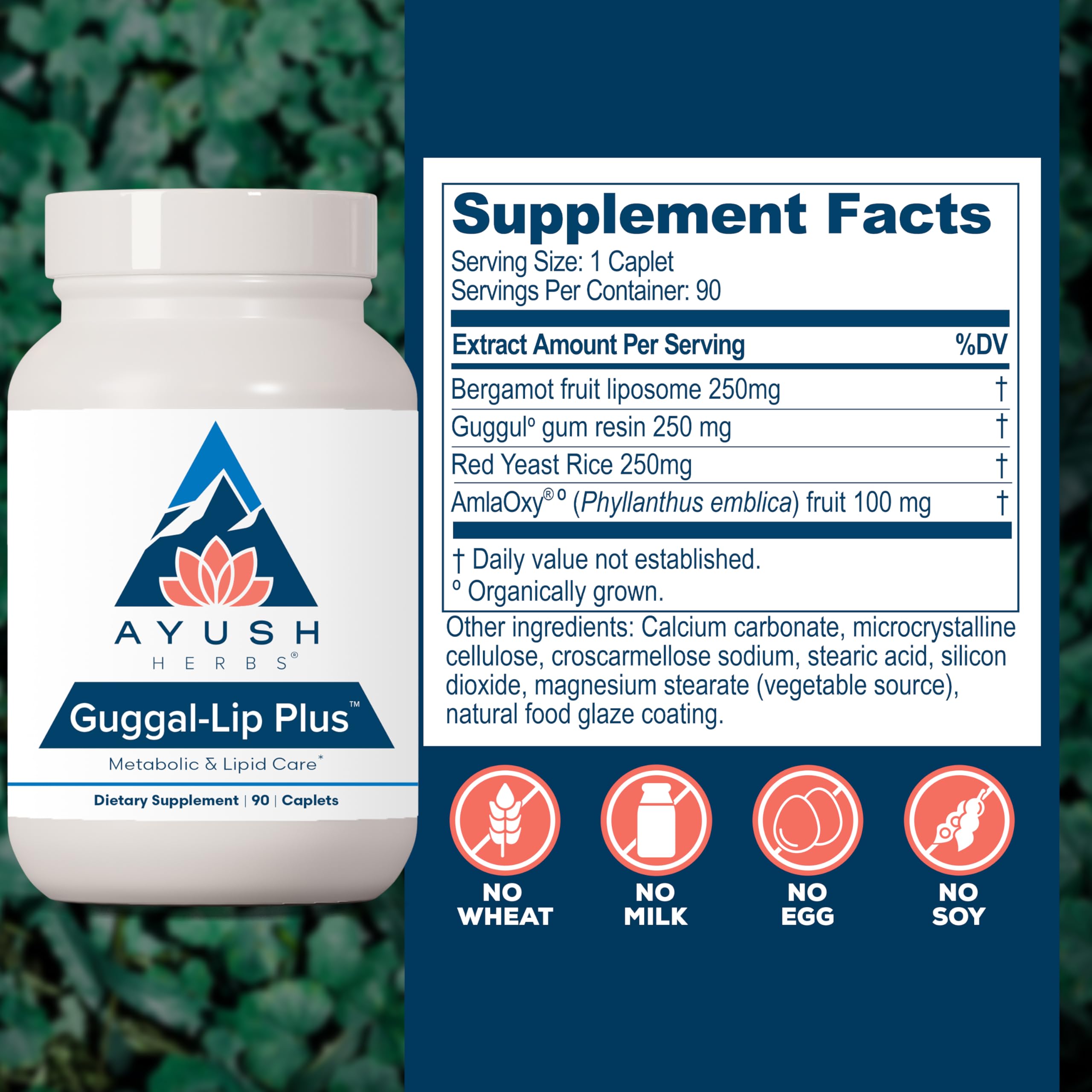 Ayush Herbs Guggal-Lip Plus - Metabolic Vitamins for Women & Men, Daily Pill, Pure & Natural Metabolic Health Supplement with Guggul - 90 Vegetarian Caplets (1 Count) Ayush Herbs Au supplements