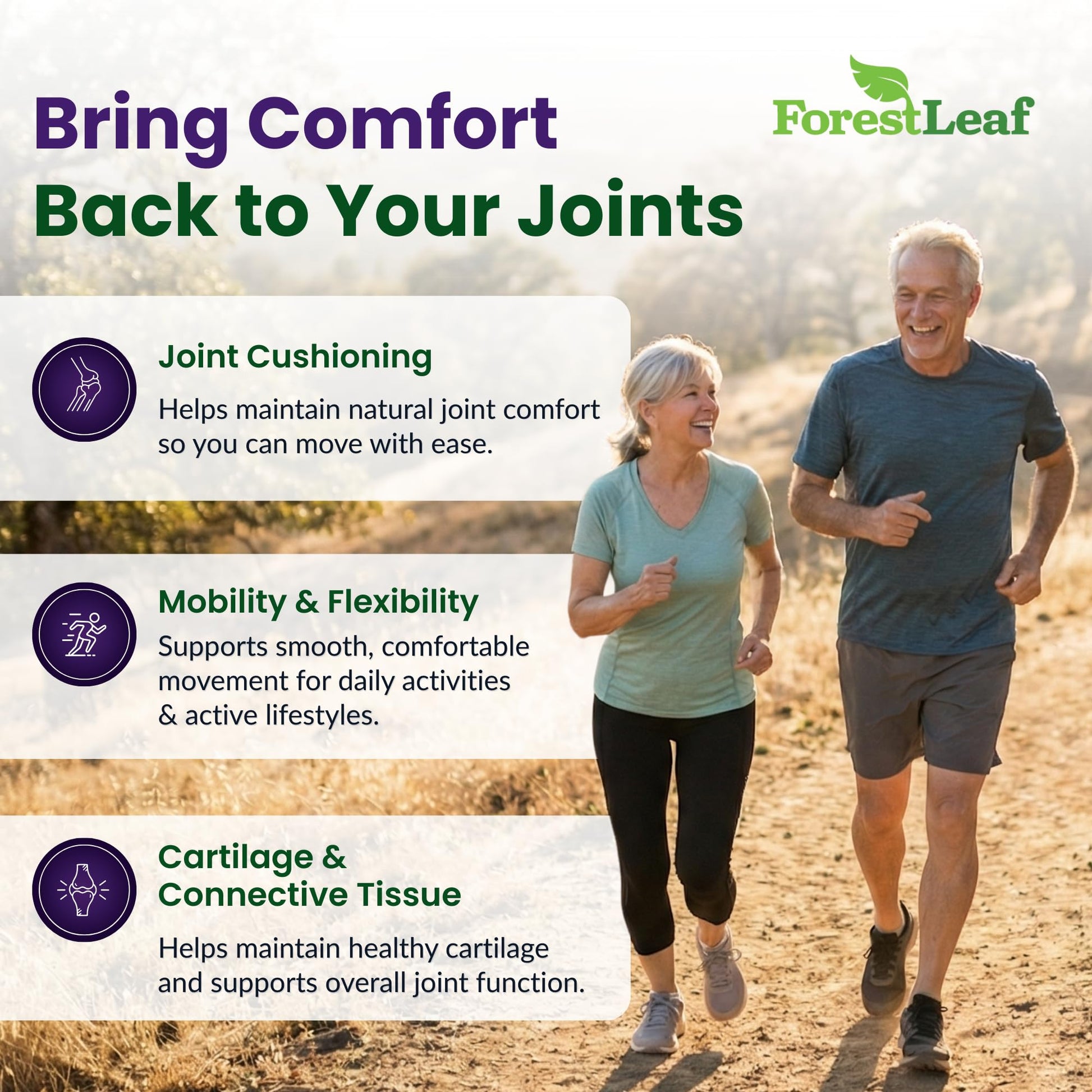 ForestLeaf Glucosamine Chondroitin MSM Joint Supplement Complex - 1200mg - 120 Caps ForestLeaf Au supplements