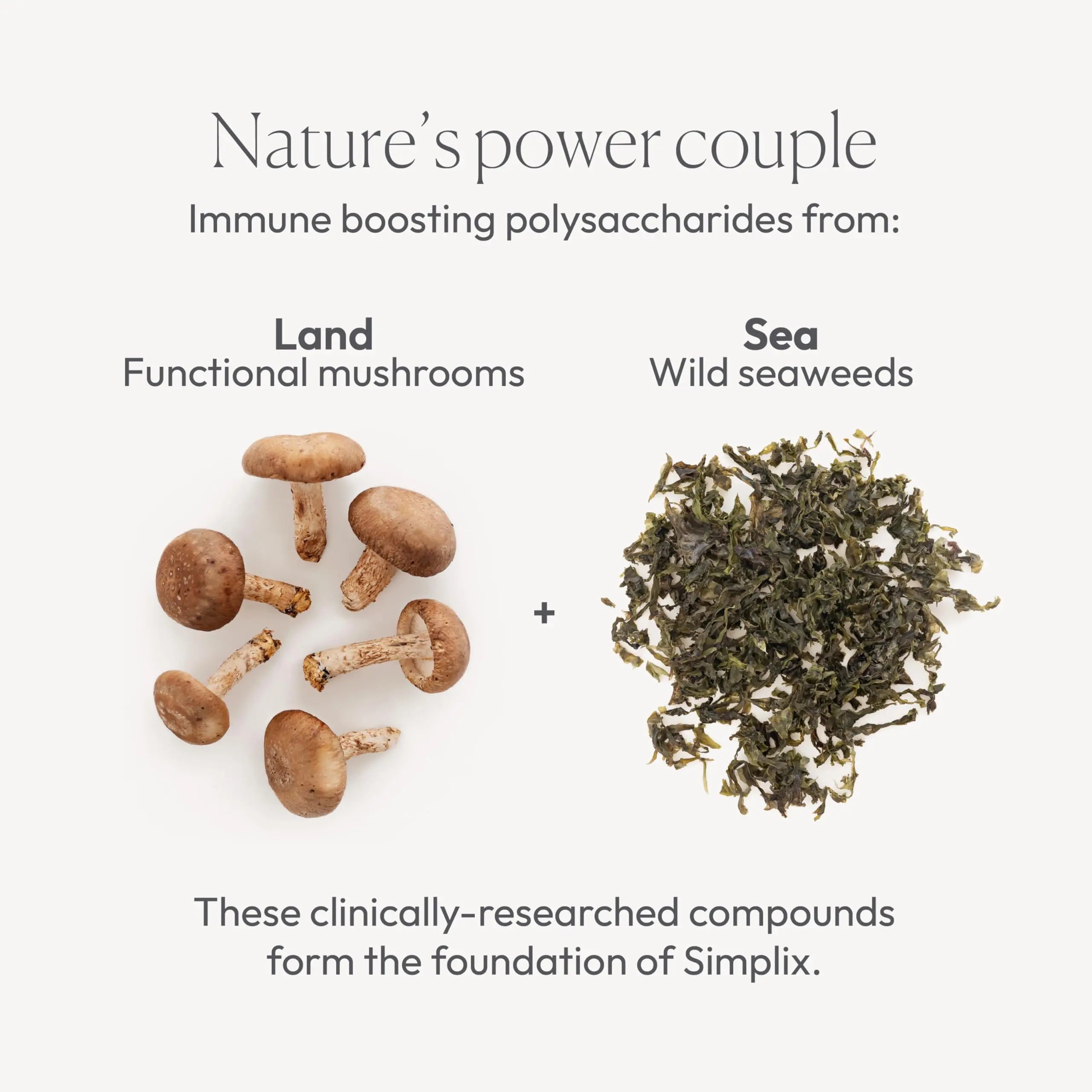Simplix | Natural Supplement to Strengthen The Immune System | Respond to Outbreaks | Source of Highly Researched Mushroom & Seaweed Polysaccharides 60 Veggie Capsules (3 Pack) (180 Count) Papillex Au supplements