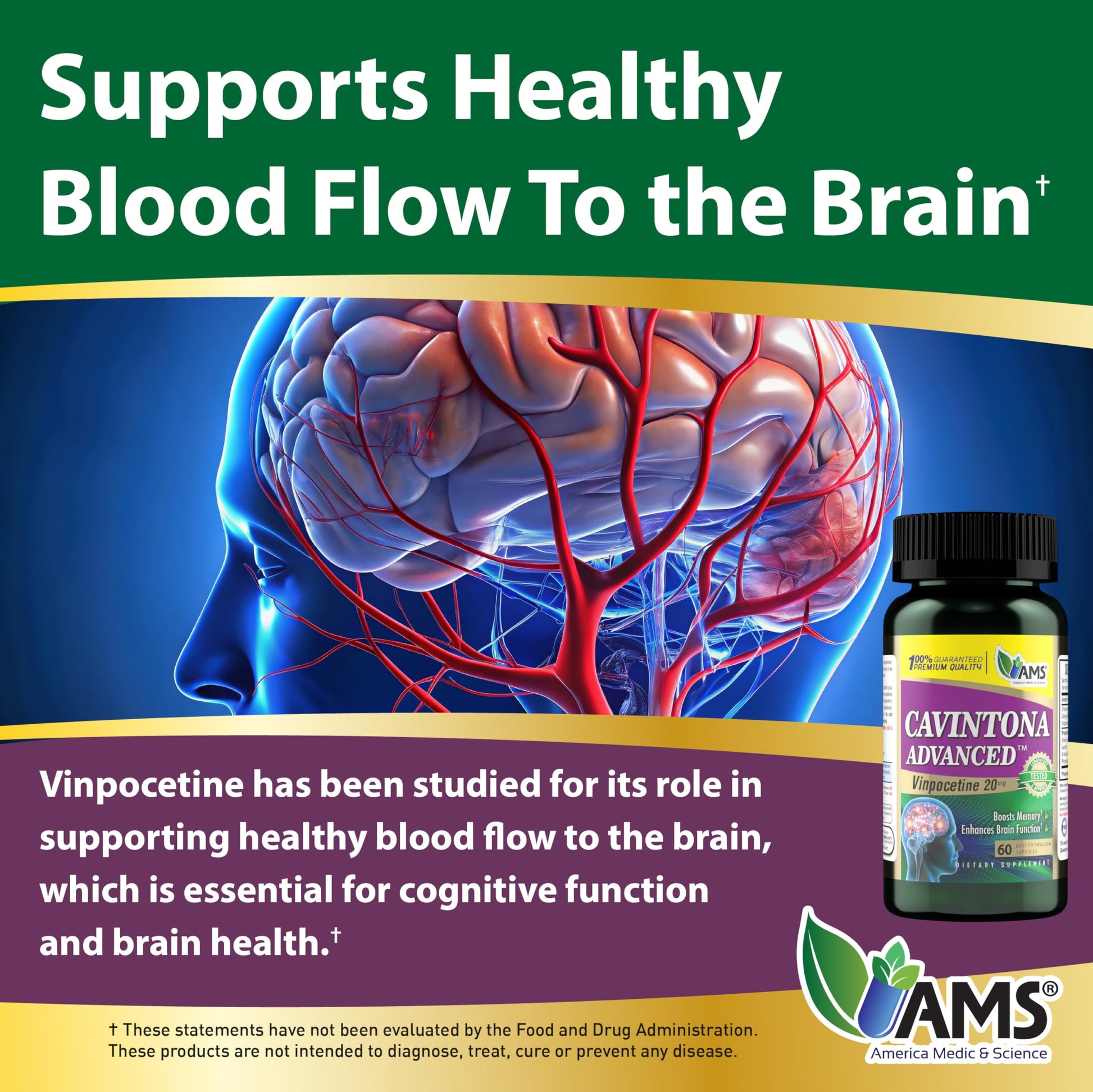 America Medic & Science Cavintona Advanced Supplement – Vinpocetine 20mg for Memory, Recall & Brain Health – Supports Cognitive Function, Focus, Mental Clarity & Blood Flow – 60 Capsules America Medic & Science Au supplements