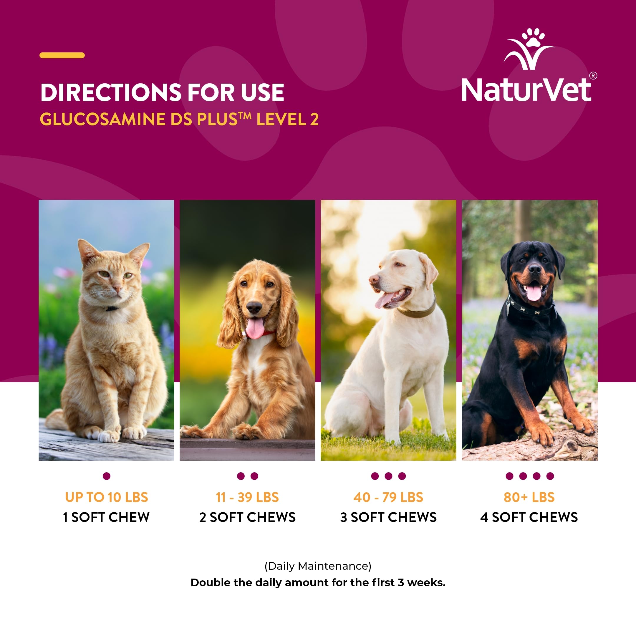 NaturVet – Glucosamine DS Plus - Level 2 Moderate Care – Supports Healthy Hip & Joint Function – Enhanced with Glucosamine, MSM & Chondroitin – for Dogs & Cats – 240 Soft Chews NaturVet Au supplements