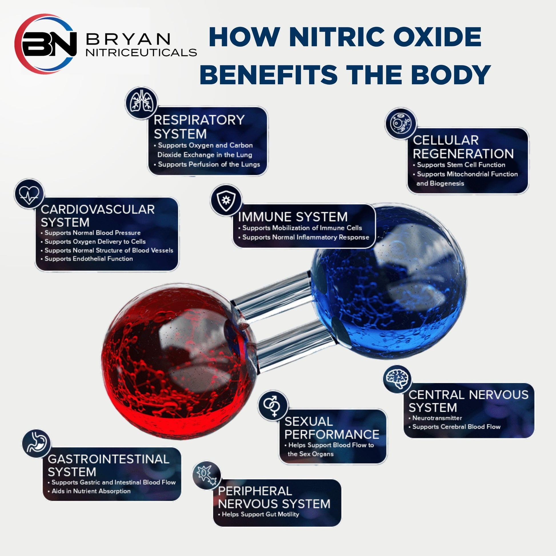 Bryan Nitriceuticals N.O. Beetz Nitric Oxide Fueled Energy Boost Supplement, Hydration & Cellular Energy Production Enhancer, Blend of Vitamins and Minerals (30 Servings) Bryan Nitriceuticals Au supplements