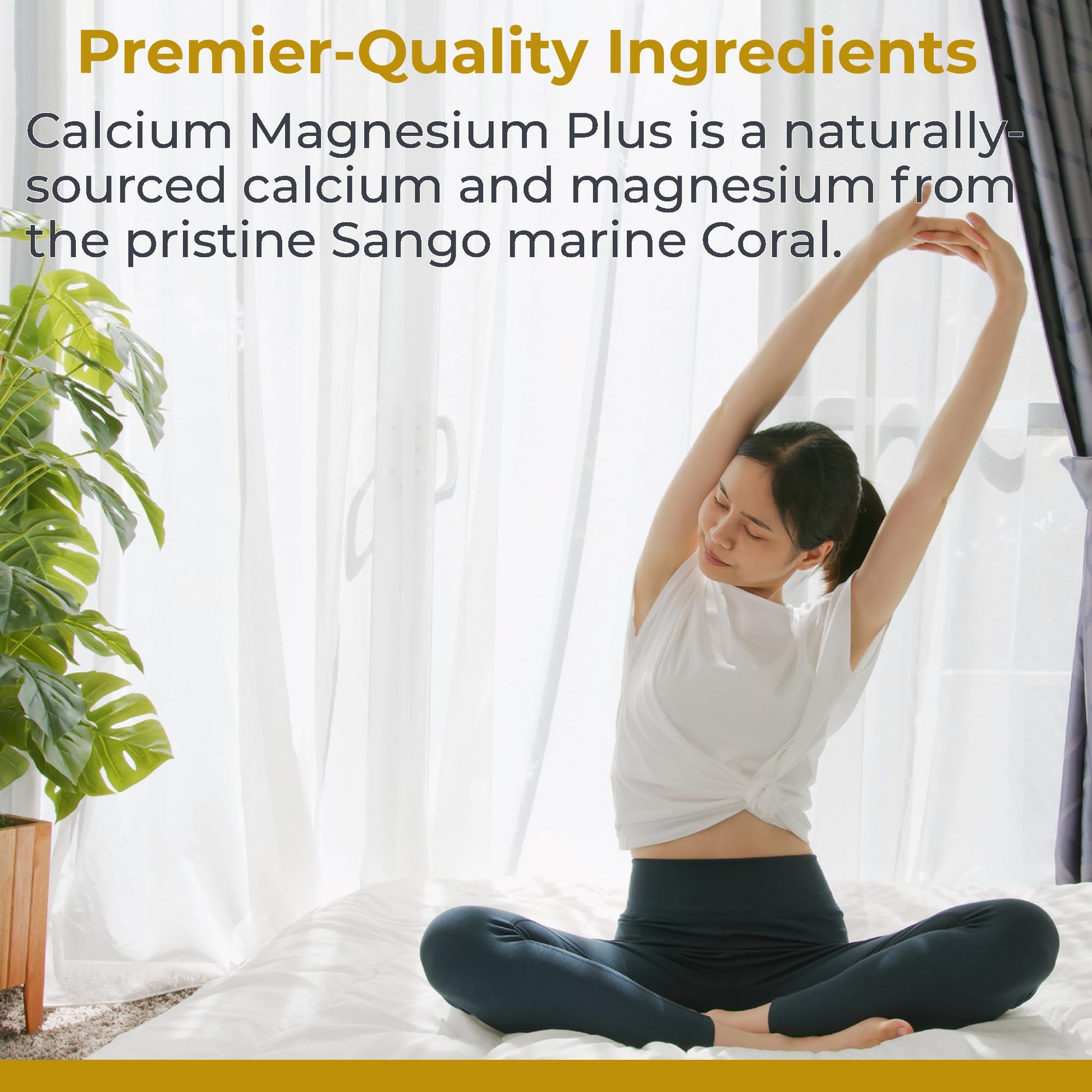 Premier Research Labs Calcium Magnesium Plus - Calcium Magnesium Supplement, Calcium Supplement for Bone Health, with Mushroom Complex - Reishi & Lions Mane - 90 Vegetarian Capsules Premier Research Labs Au supplements