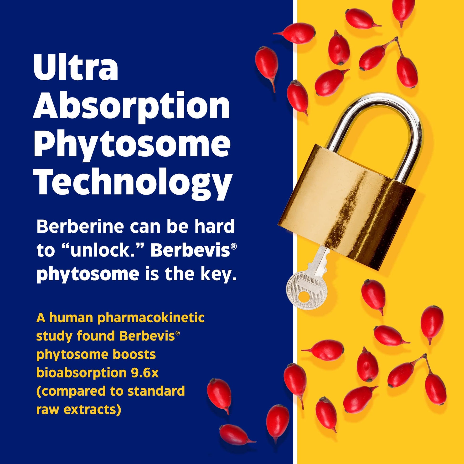 Enzymedica, Berberine Phytosome Enzymedica Au supplements
