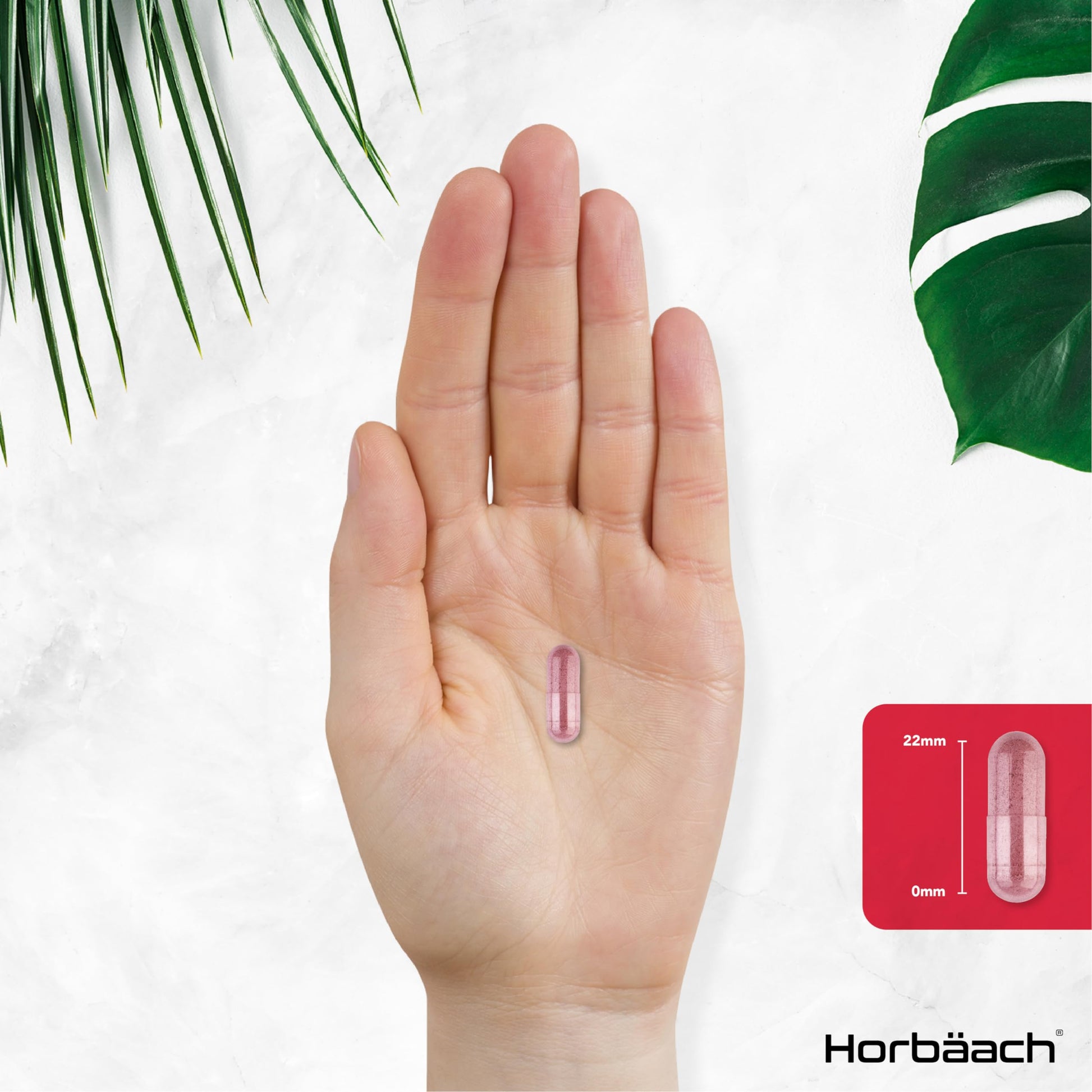 Cranberry Capsules 45,000 mg | High Strength Cranberry Extract with Vitamin C Horbäach Au supplements
