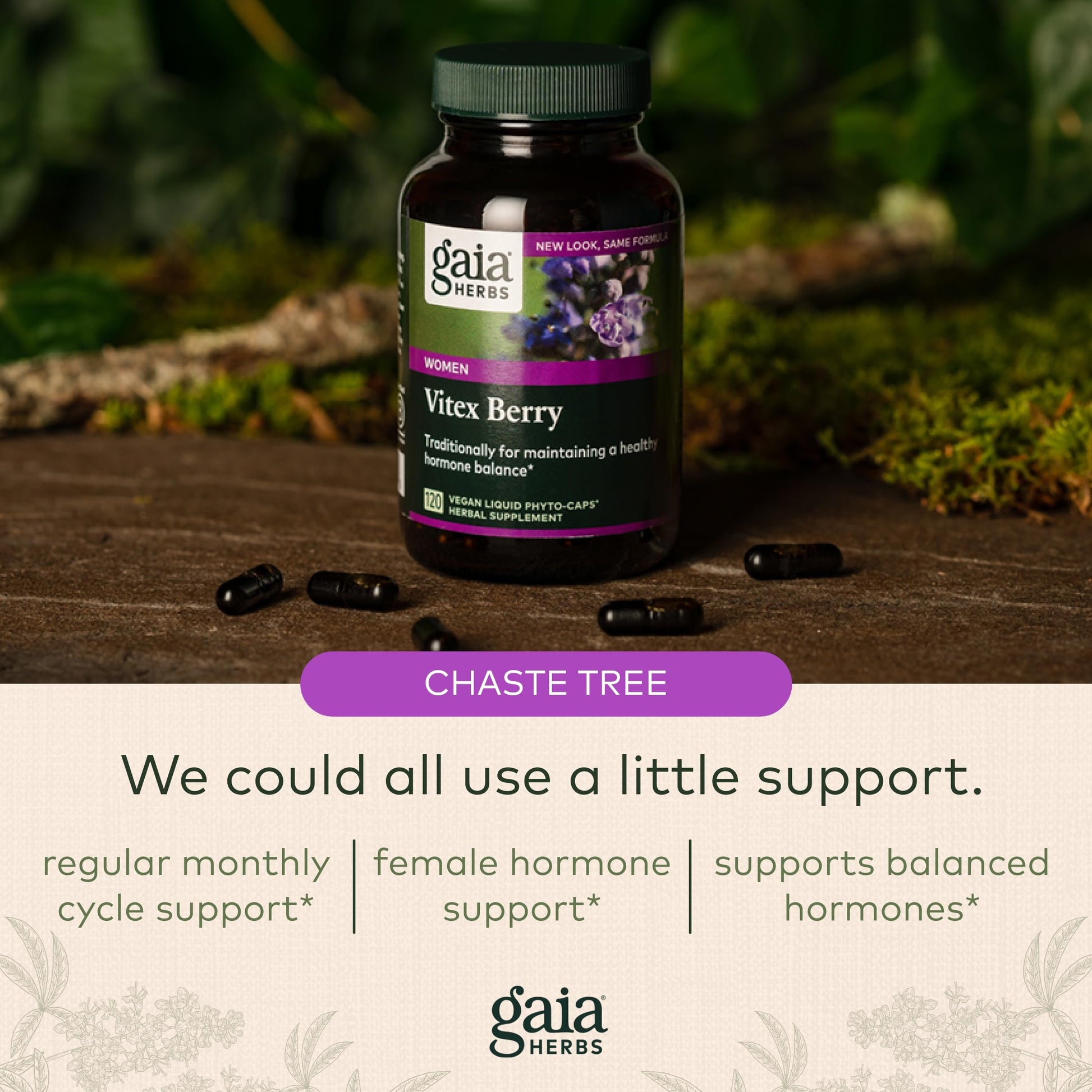Gaia Herbs, Vitex Berry Vegan Liquid Phyto Capsules - PMS Support Supplement, Chaste Tree berry Gaia Herbs Au supplements