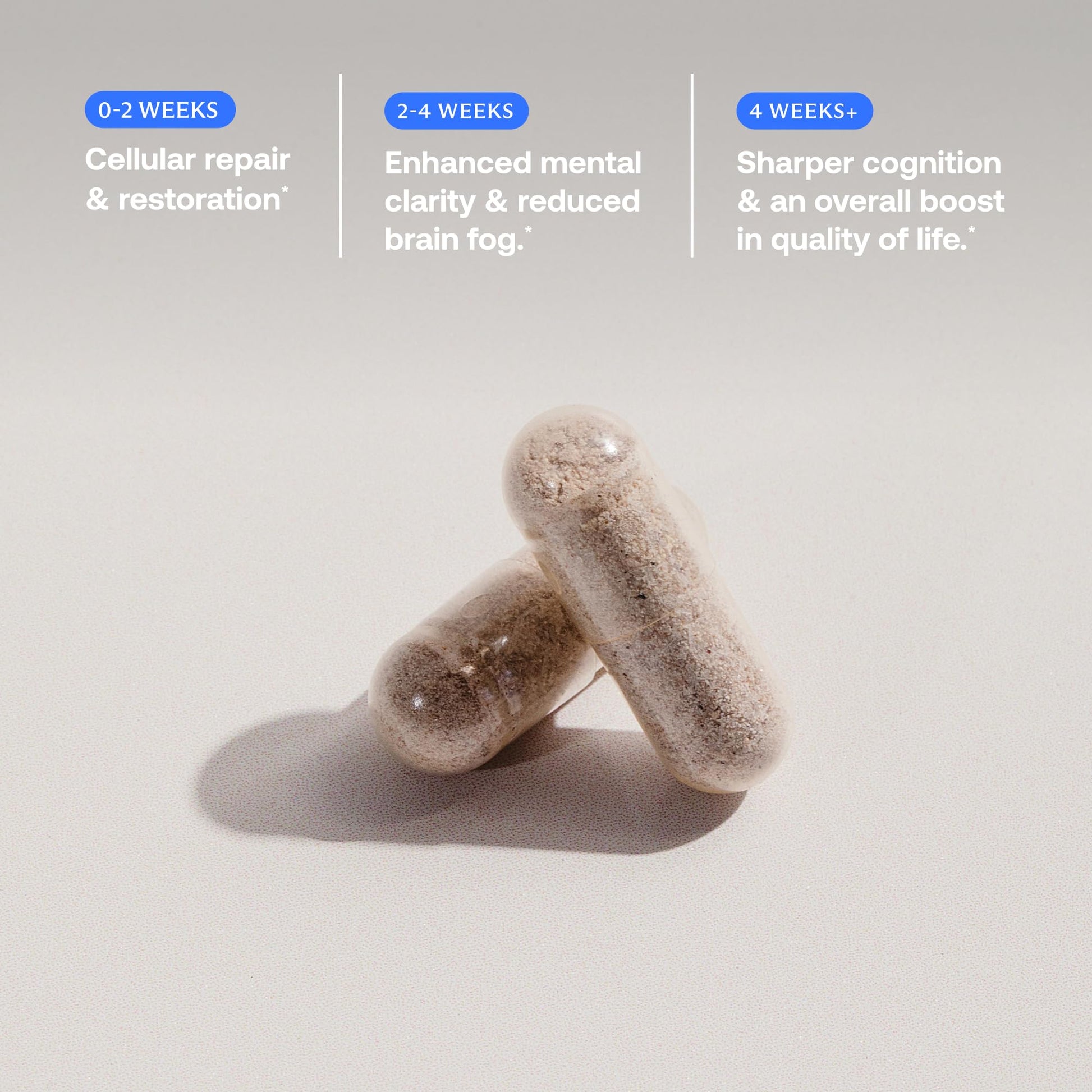 BodyBio Calm - Natural Stress Relief Blend with Rhodiola, Glycine & Phosphatidylserine - Supports Relaxation, Mental Focus & Balanced Cortisol - Non - Drowsy Formula BodyBio Au supplements