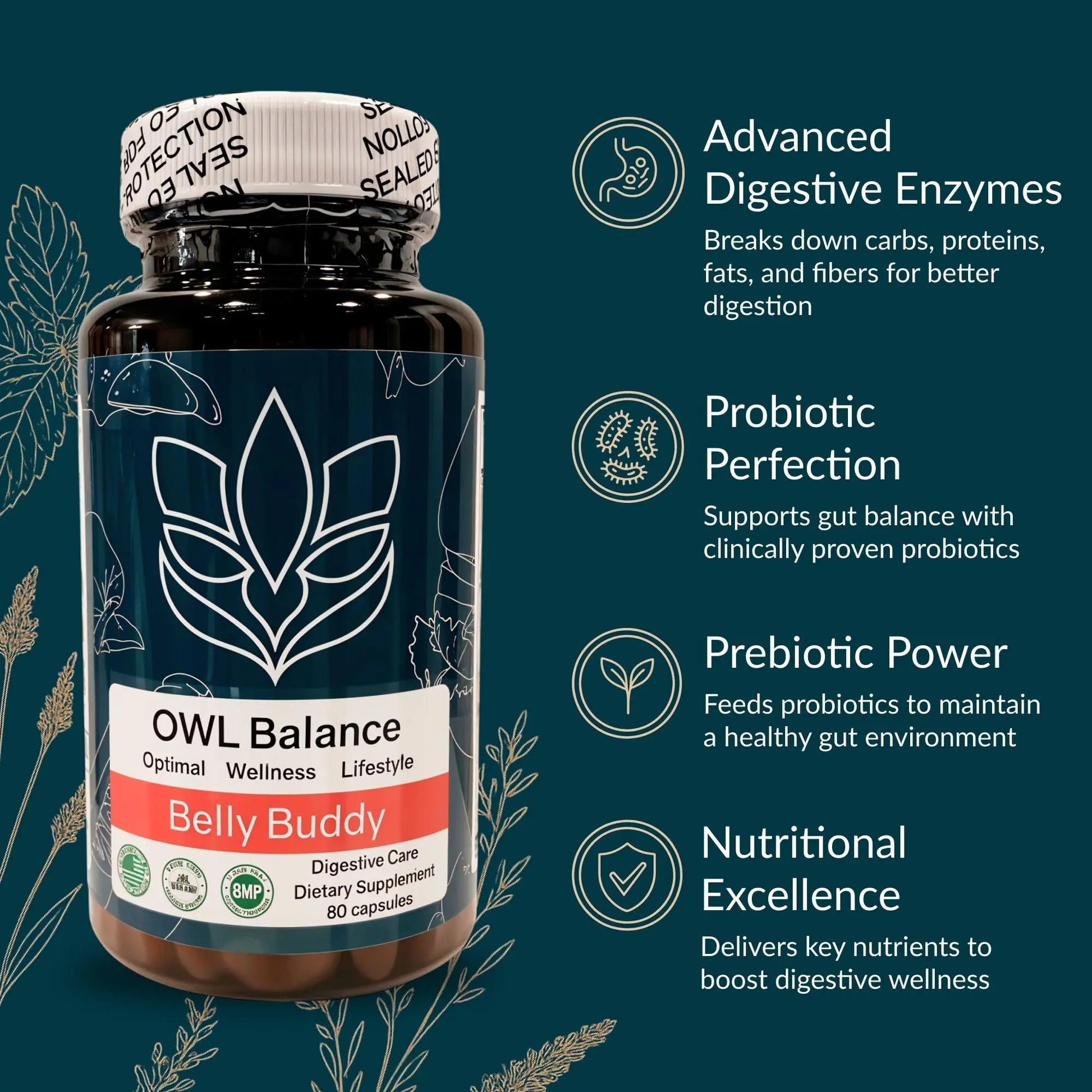 Belly Buddy Advanced Gut Health Support containing a helthy Blend of Probiotics, Prebiotics, and Digestive Enzymes OWL Balance Au supplements