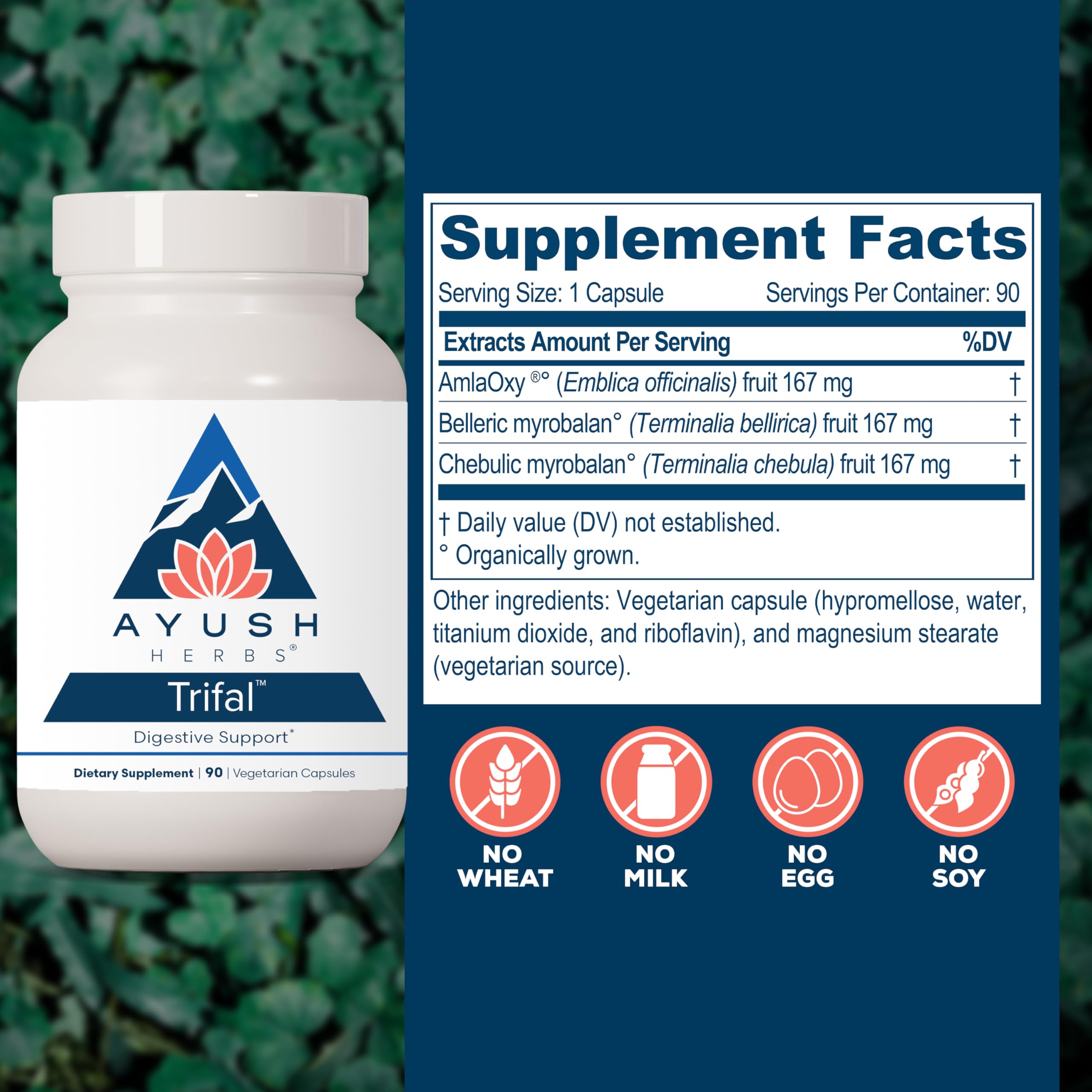 Ayush Herbs Trifal Digestive Support with Amla - Triphala Supplement for Women & Men, Promotes Balanced Digestion, Antioxidant Rich, Made with Organic Ingredients - 90 Vegetarian Capsules (1 Count) Ayush Herbs Au supplements