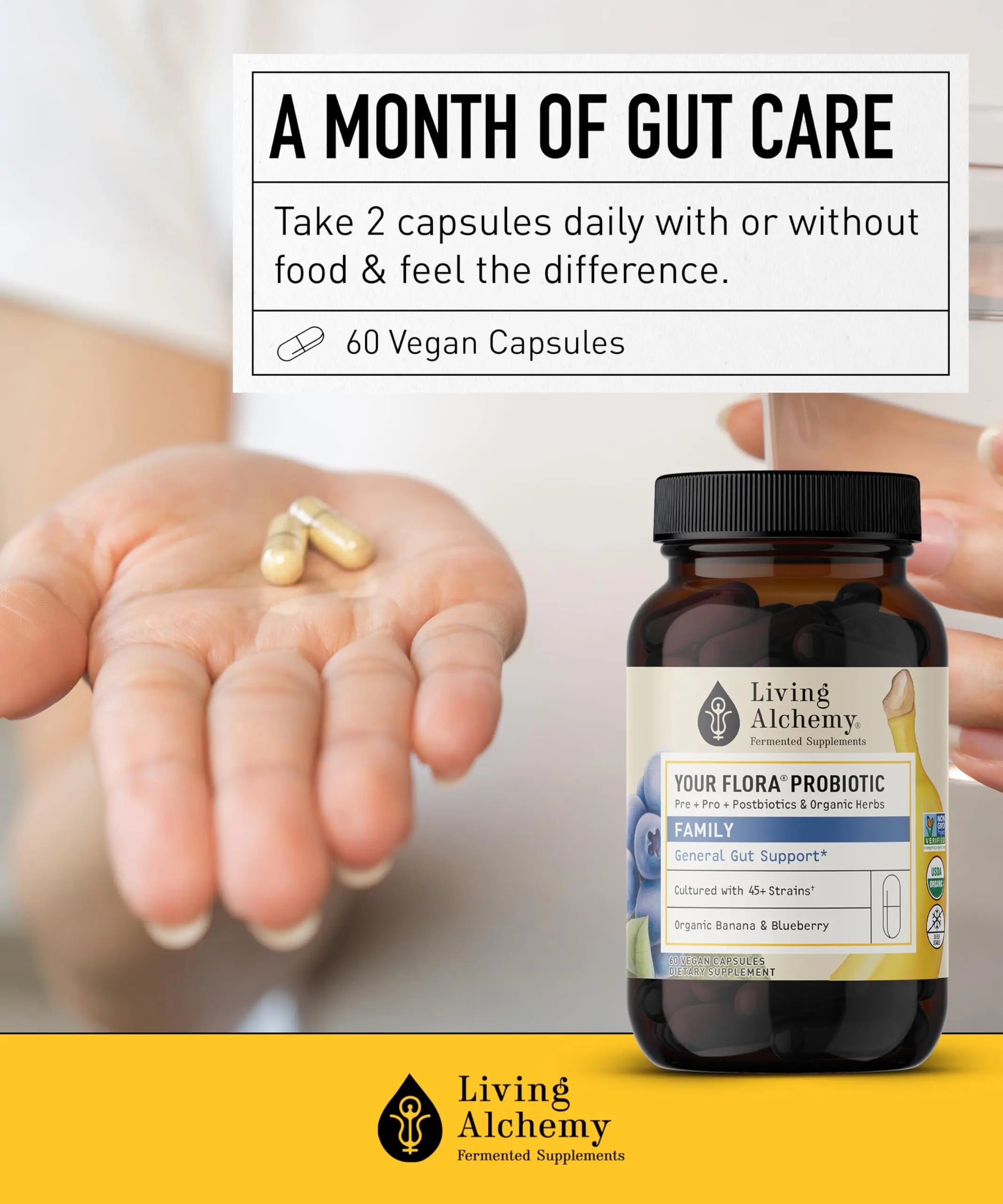 Your Flora Probiotic Family – Non-GMO Probiotics with Fermented Soybean, Banana, & Blueberry for Digestion & Gut Support – Prebiotics, Postbiotics, Digestive Enzymes – Living Alchemy, 60 Capsules Living Alchemy Au supplements