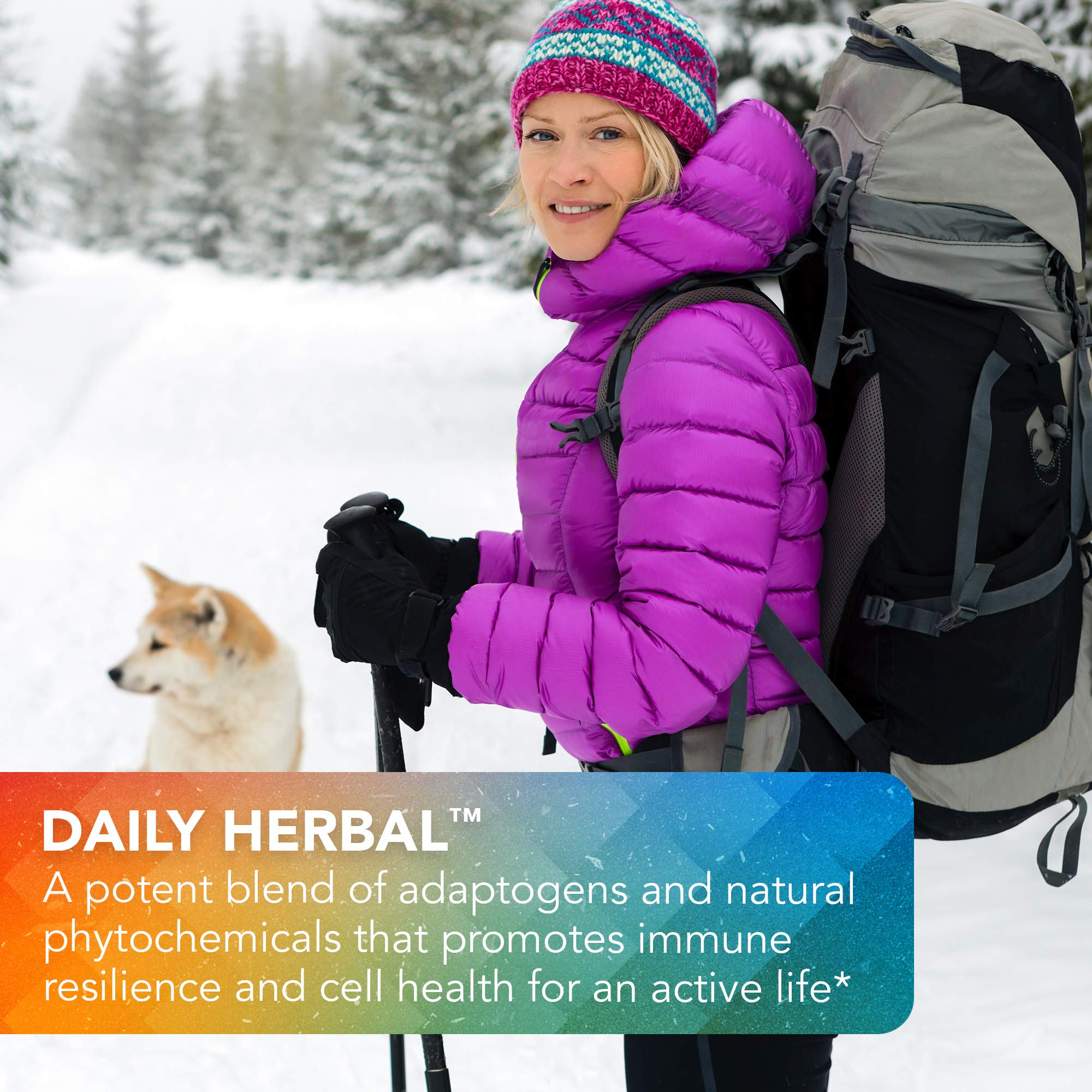 Vital Plan Daily Herbal Supplement by Dr. Bill Rawls – Herbal Immunity Booster for Immune Support, Microbiome Balance & Cell Health — Reishi Mushroom, Turmeric & Rhodiola Vital Plan Au supplements