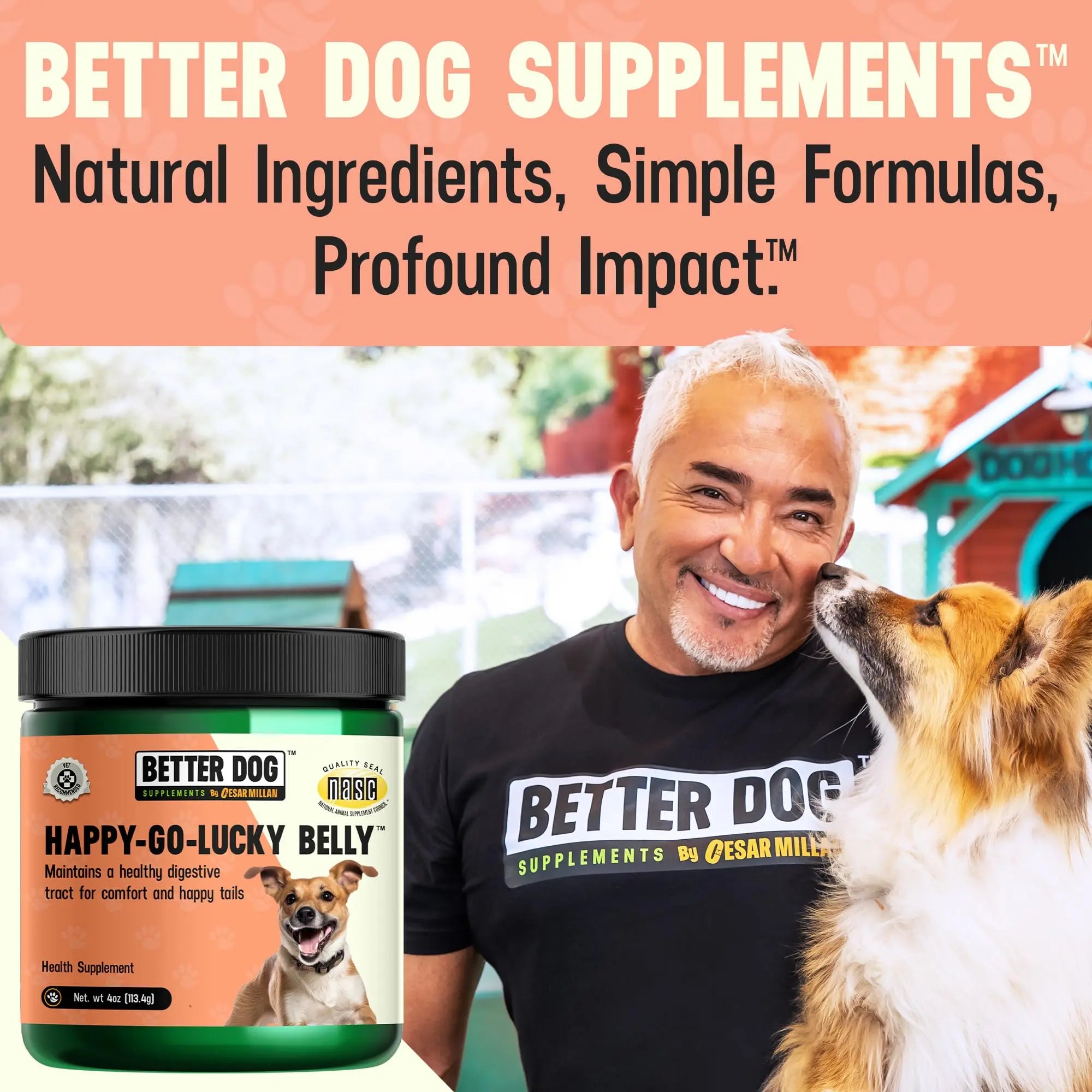 Better Dog Supplements Happy-Go-Lucky Belly by Cesar Millan - Natural Dog Digestive Support Powder – Dog Constipation Relief, Gut Balance & Regularity with Herbal Fiber for Dogs – 4oz (60-Day Supply) Better Dog Supplements By Cesar Millan Au supplements